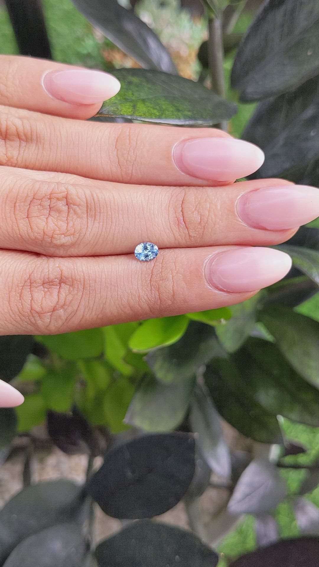 0.44 Ct. Blue Sapphire from Ceylon (Sri Lanka) Size Video