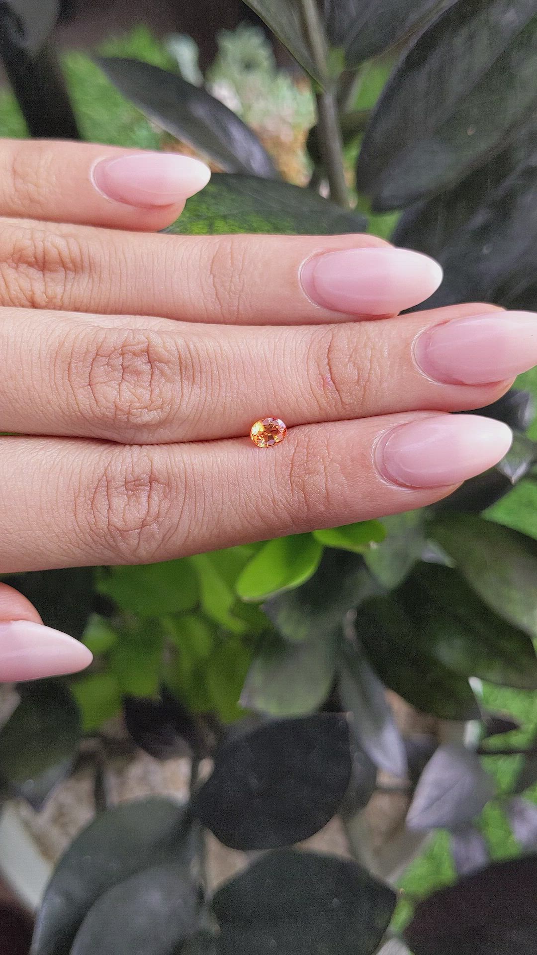 0.48 Ct. Yellowish Orange Sapphire from Ceylon (Sri Lanka) Size Video