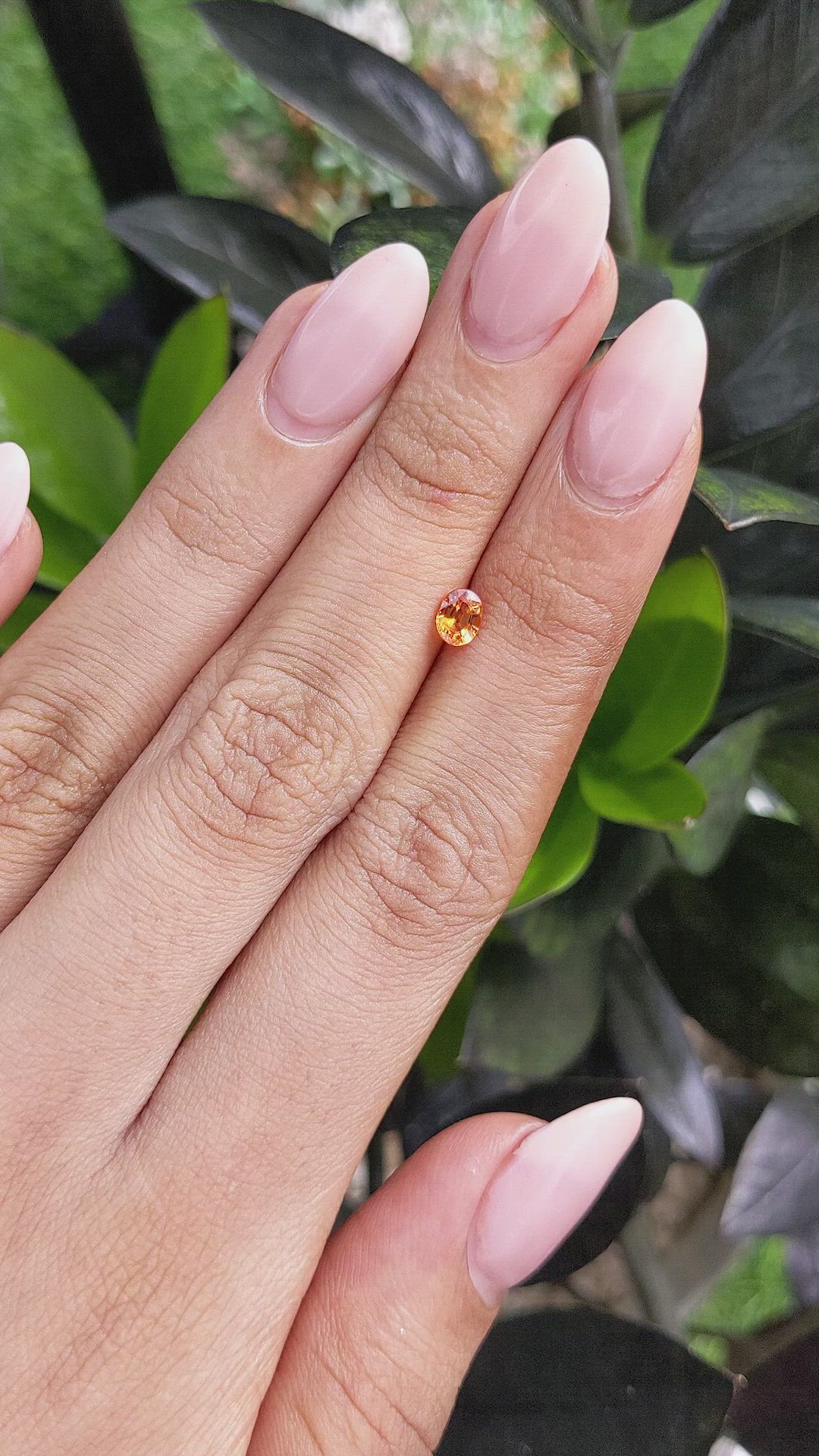 0.48 Ct. Yellowish Orange Sapphire from Ceylon (Sri Lanka) Size Video