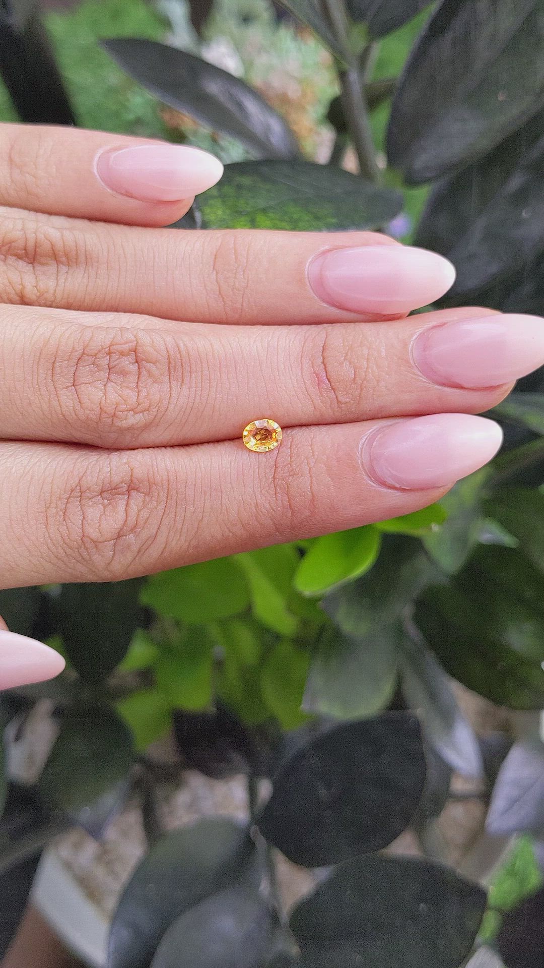 0.45 Ct. Yellowish Orange Sapphire from Ceylon (Sri Lanka) Size Video