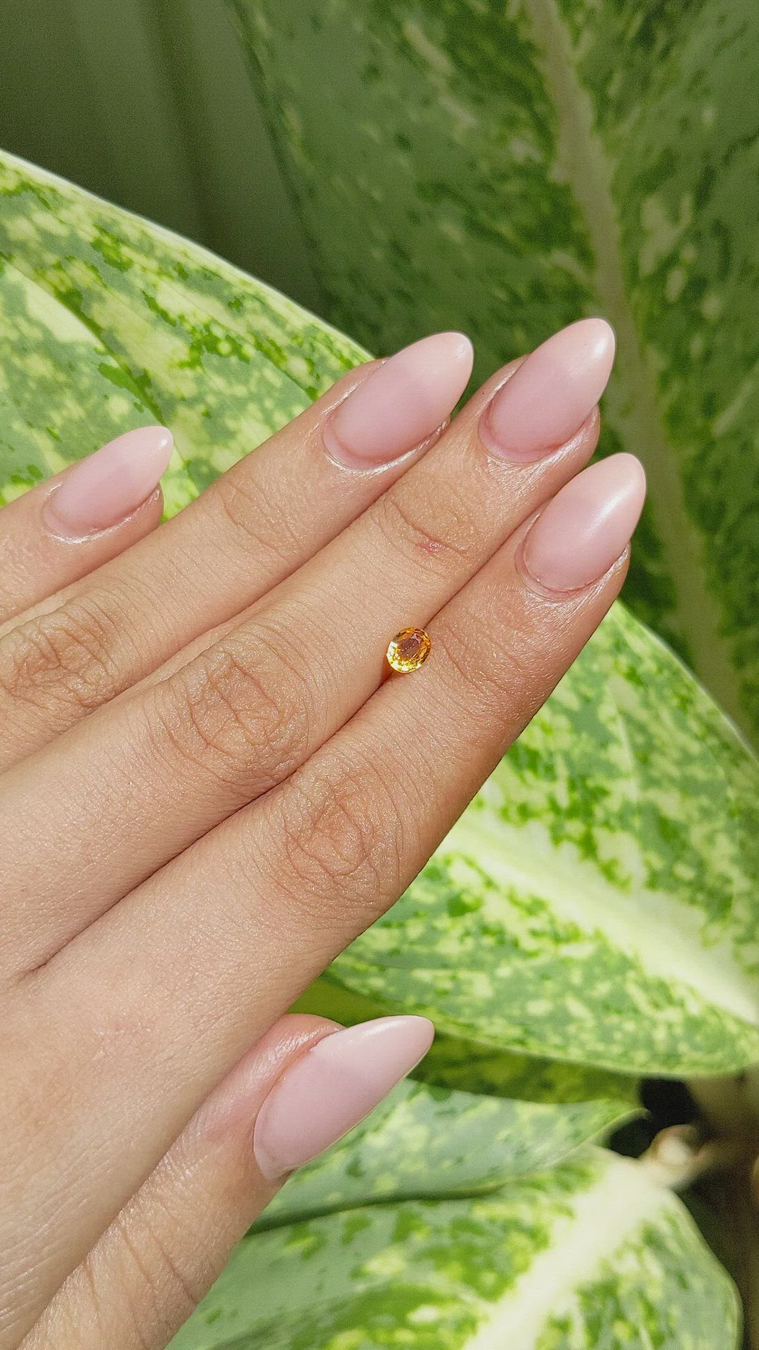 0.45 Ct. Yellowish Orange Sapphire from Ceylon (Sri Lanka) Size Video