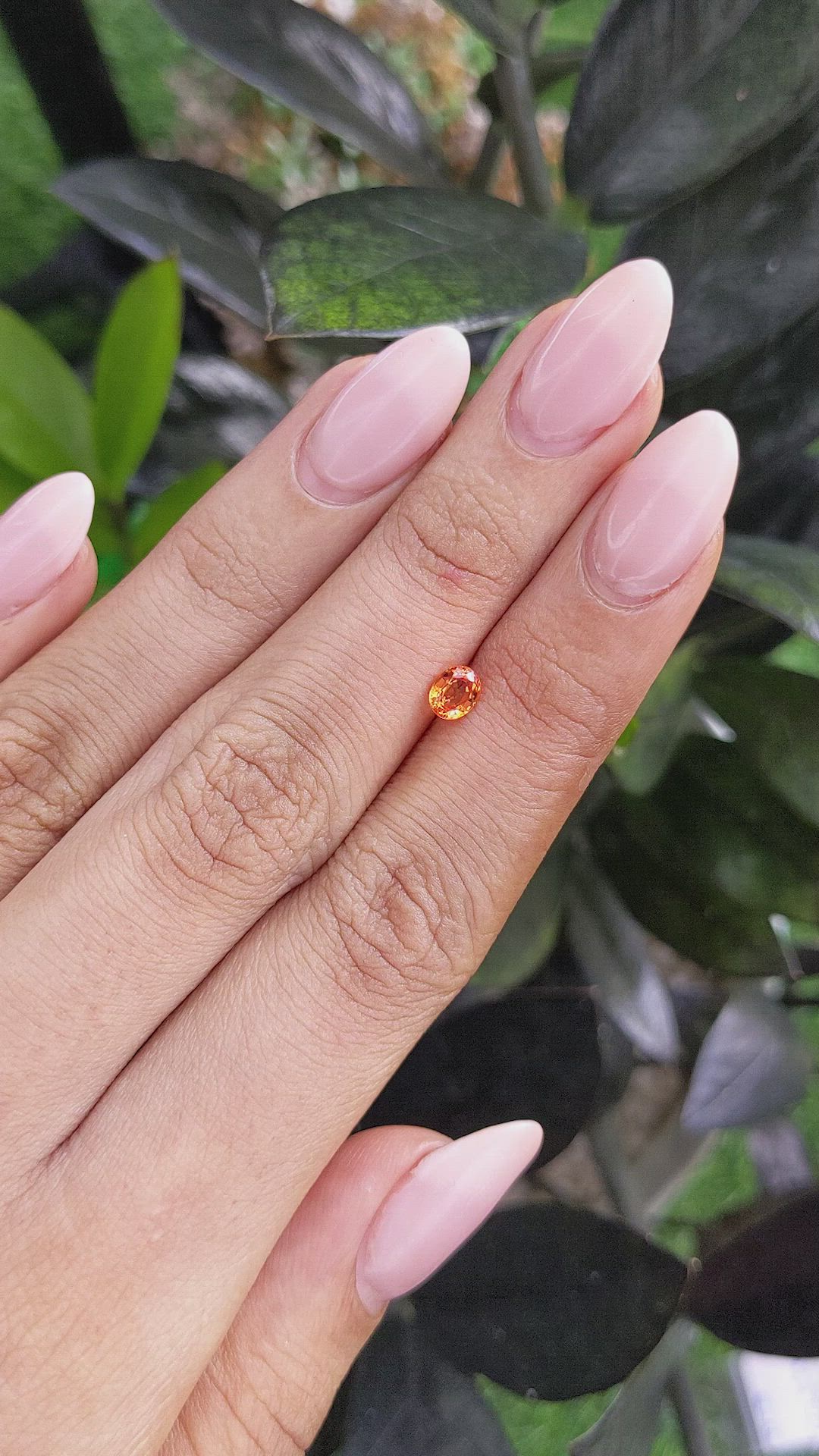 0.52 Ct. Orange Sapphire from Ceylon (Sri Lanka) Size Video