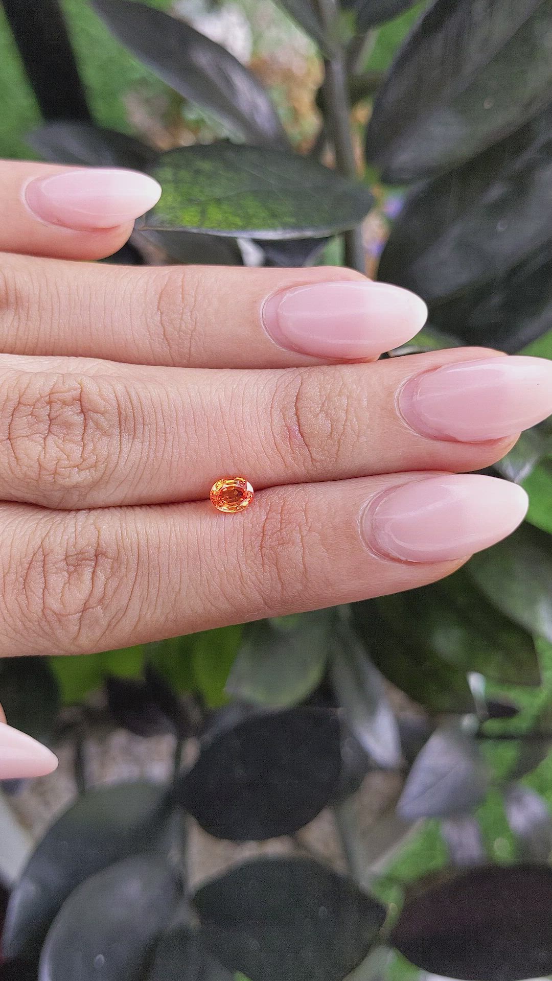 0.52 Ct. Orange Sapphire from Ceylon (Sri Lanka) Size Video