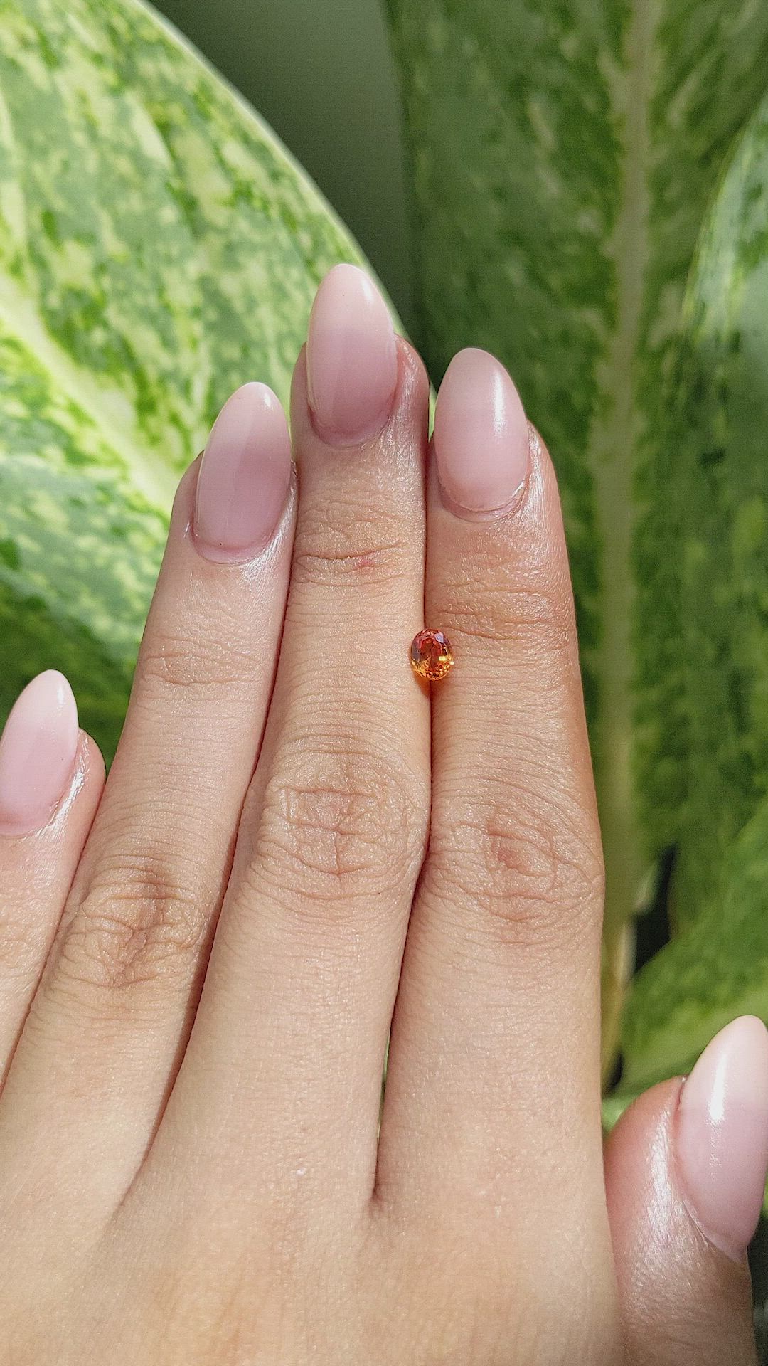 0.52 Ct. Orange Sapphire from Ceylon (Sri Lanka) Size Video