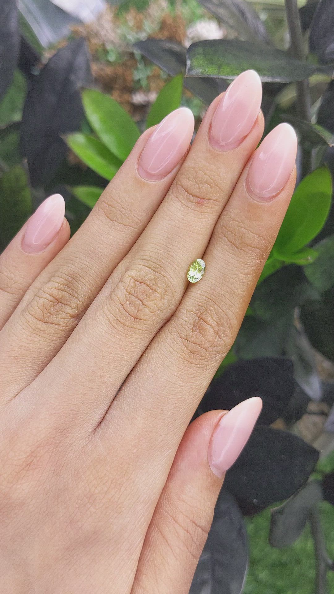 0.58 Ct. Yellowish Green Sapphire from Ceylon (Sri Lanka) Size Video