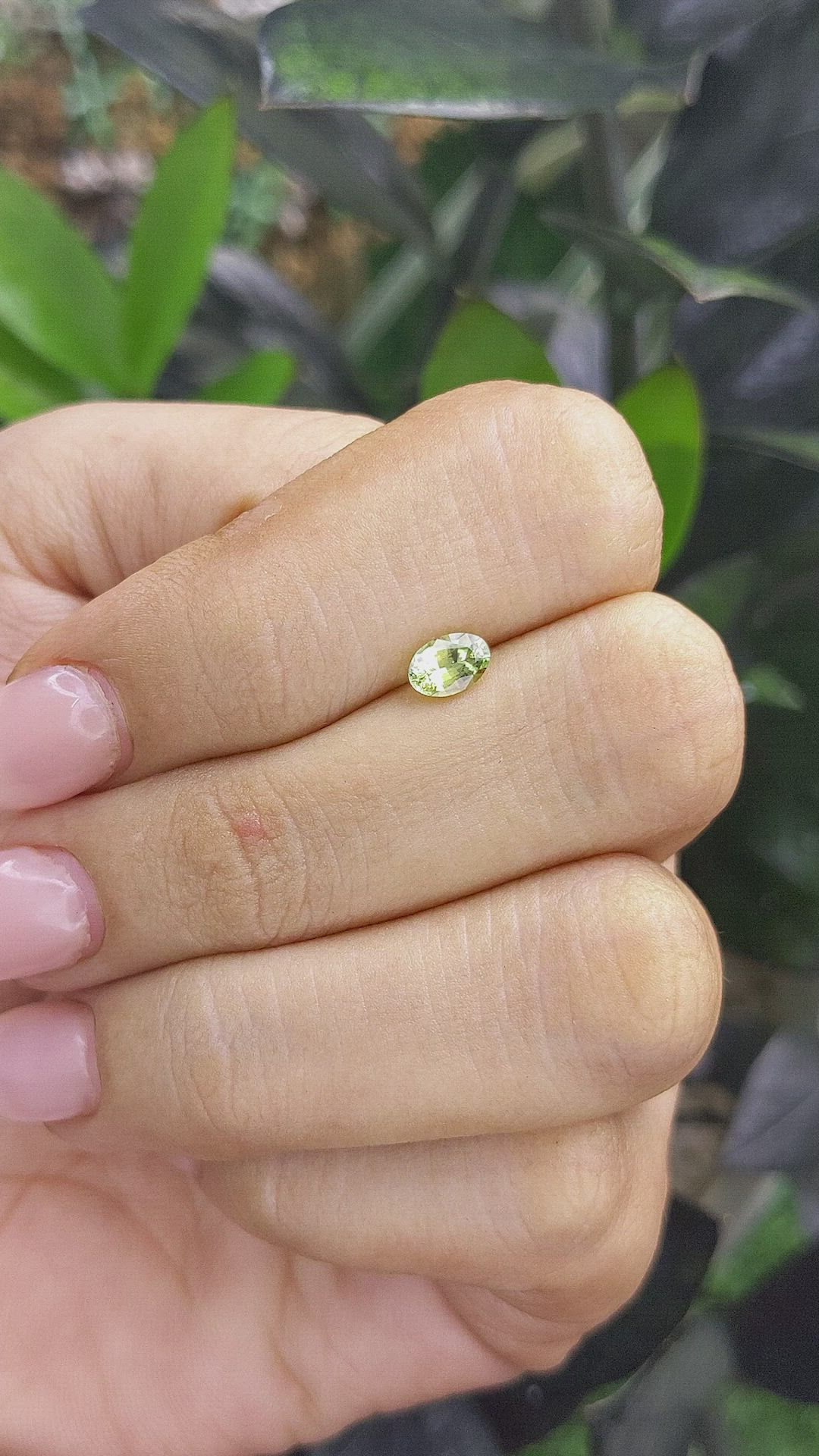 0.58 Ct. Yellowish Green Sapphire from Ceylon (Sri Lanka) Size Video