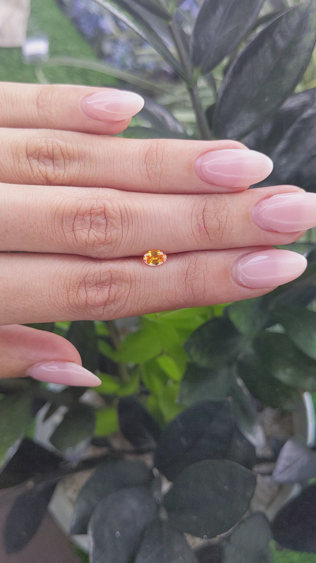 0.45 Ct. Yellowish Orange Sapphire from Ceylon (Sri Lanka) Size Video