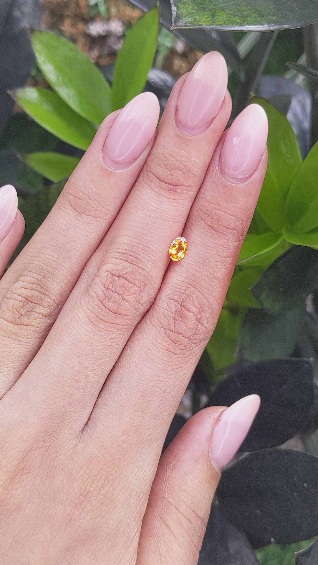 0.45 Ct. Yellowish Orange Sapphire from Ceylon (Sri Lanka) Size Video