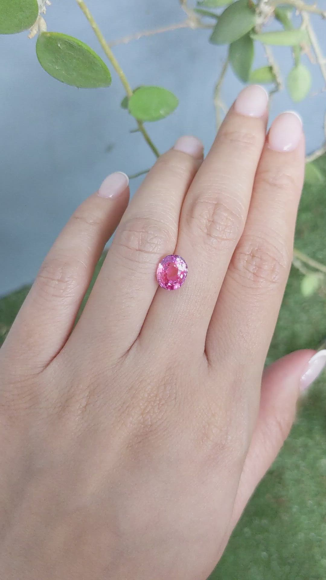 3.09 Ct. Pink Sapphire from Ceylon (Sri Lanka) Size Video