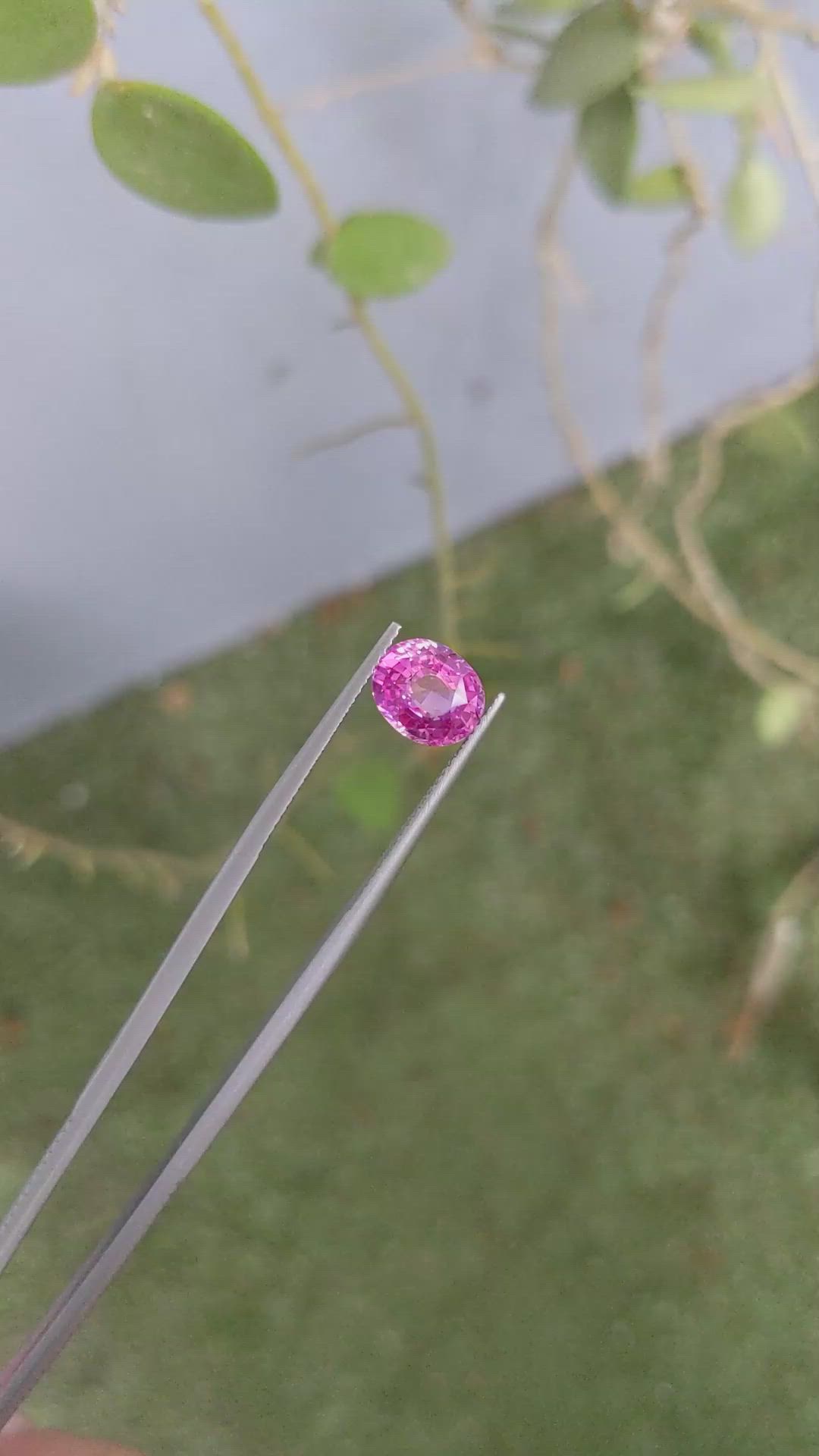 3.09 Ct. Pink Sapphire from Ceylon (Sri Lanka) Size Video