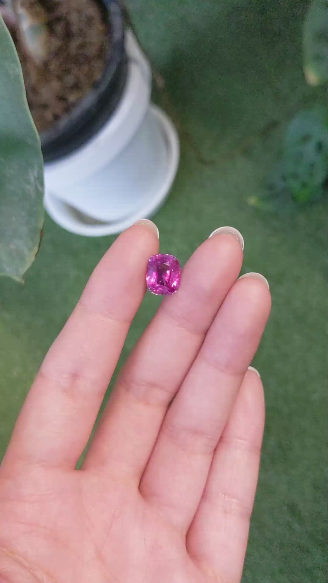 5.09 Ct. Pink Sapphire from Ceylon (Sri Lanka) Size Video