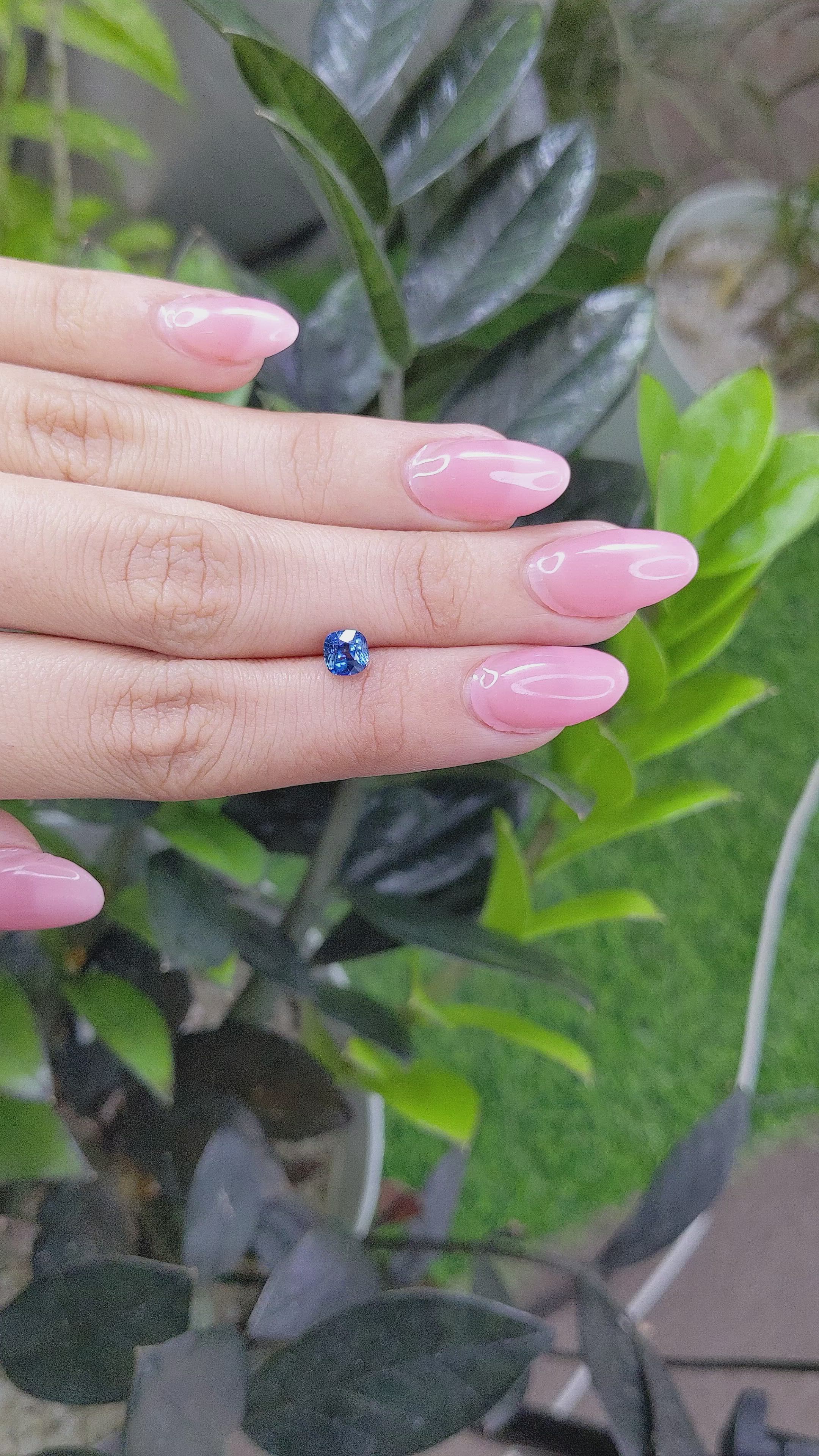 1.04 Ct. Blue Sapphire from Ceylon (Sri Lanka) Size Video