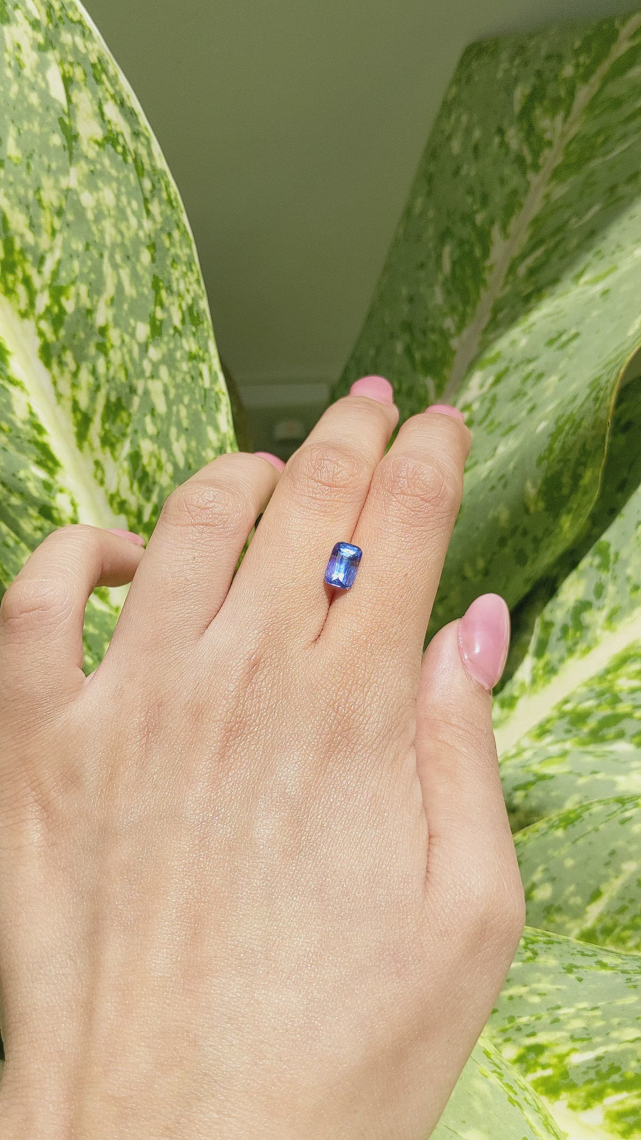 1.90 Ct. Blue Sapphire from Ceylon (Sri Lanka) Size Video