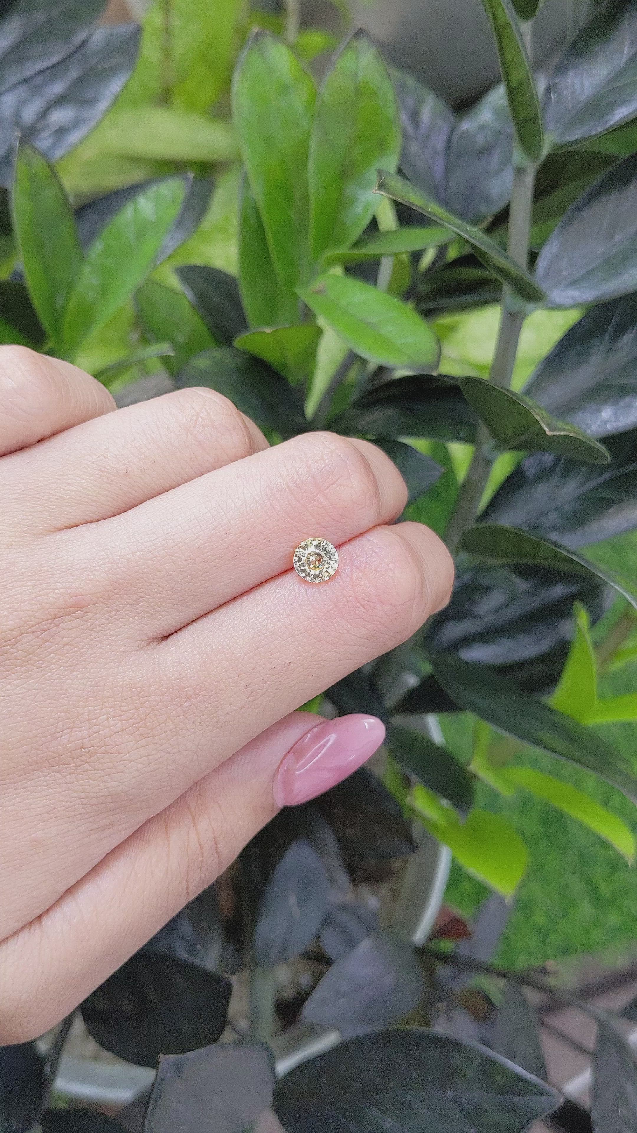 1.54 Ct. Yellow Sapphire from Ceylon (Sri Lanka) Size Video