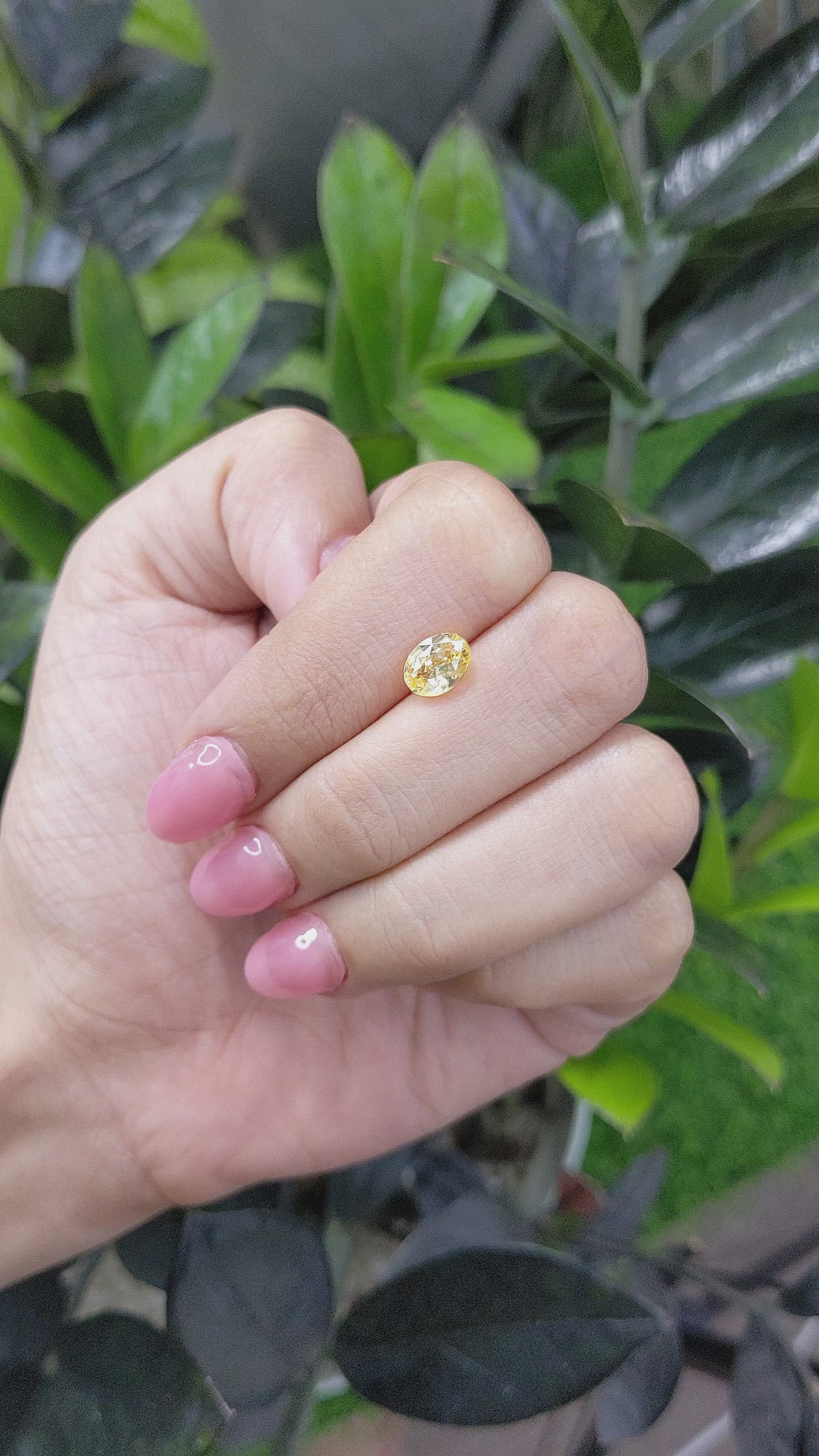 1.53 Ct. Yellow Sapphire from Ceylon (Sri Lanka) Size Video