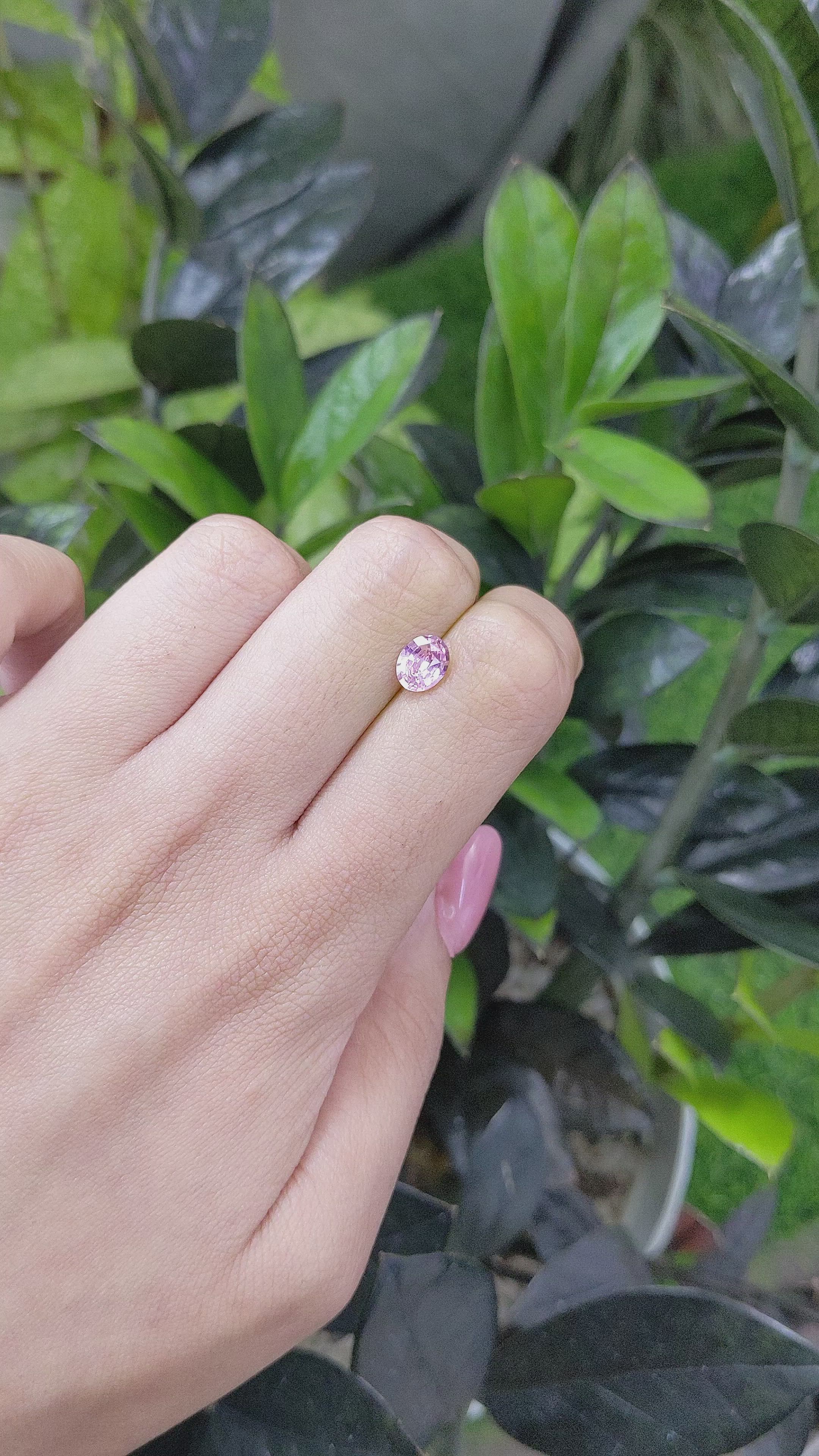 1.19 Ct. Pink Sapphire from Ceylon (Sri Lanka) Size Video