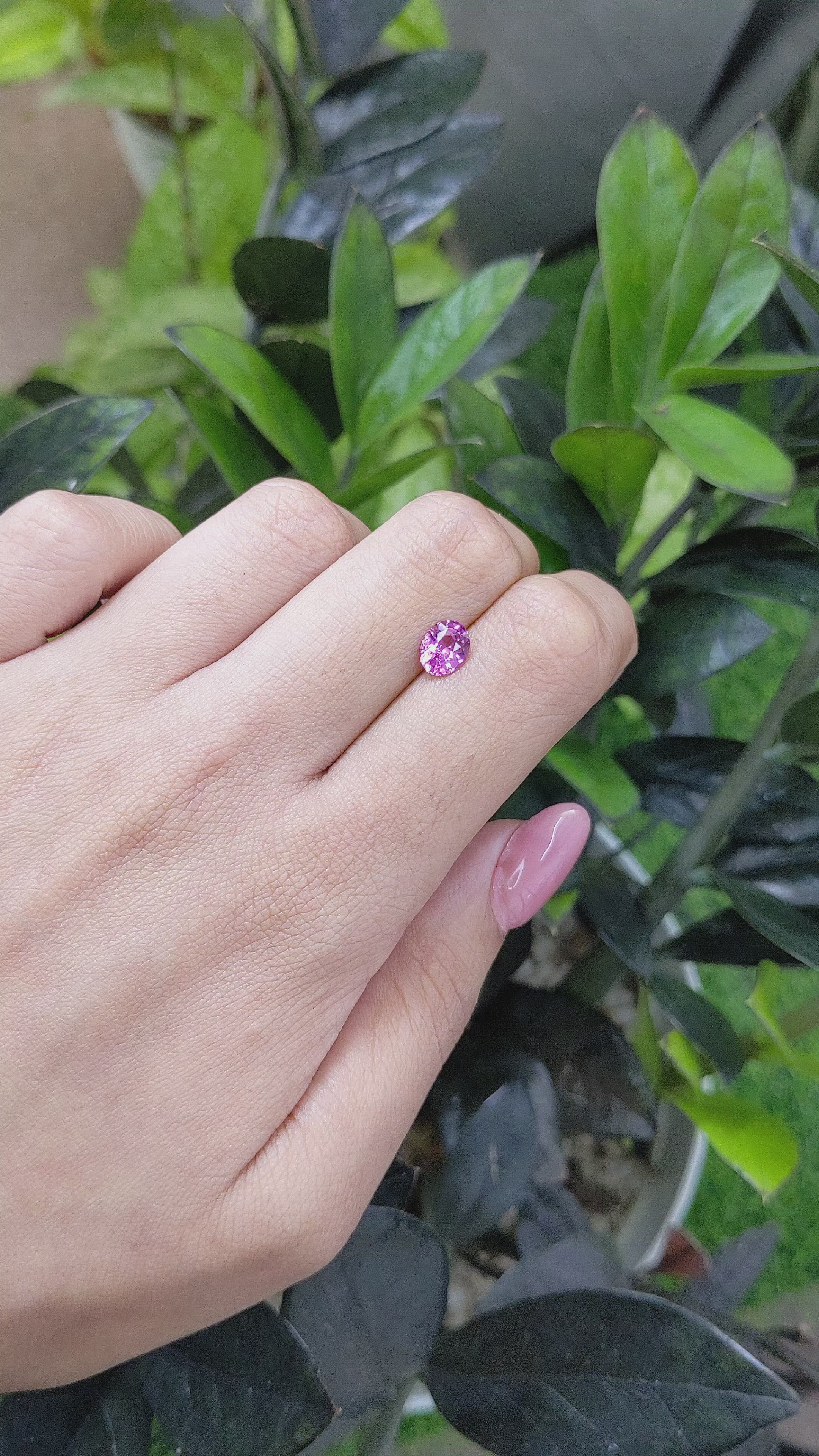 1.11 Ct. Purple Sapphire from Ceylon (Sri Lanka) Size Video