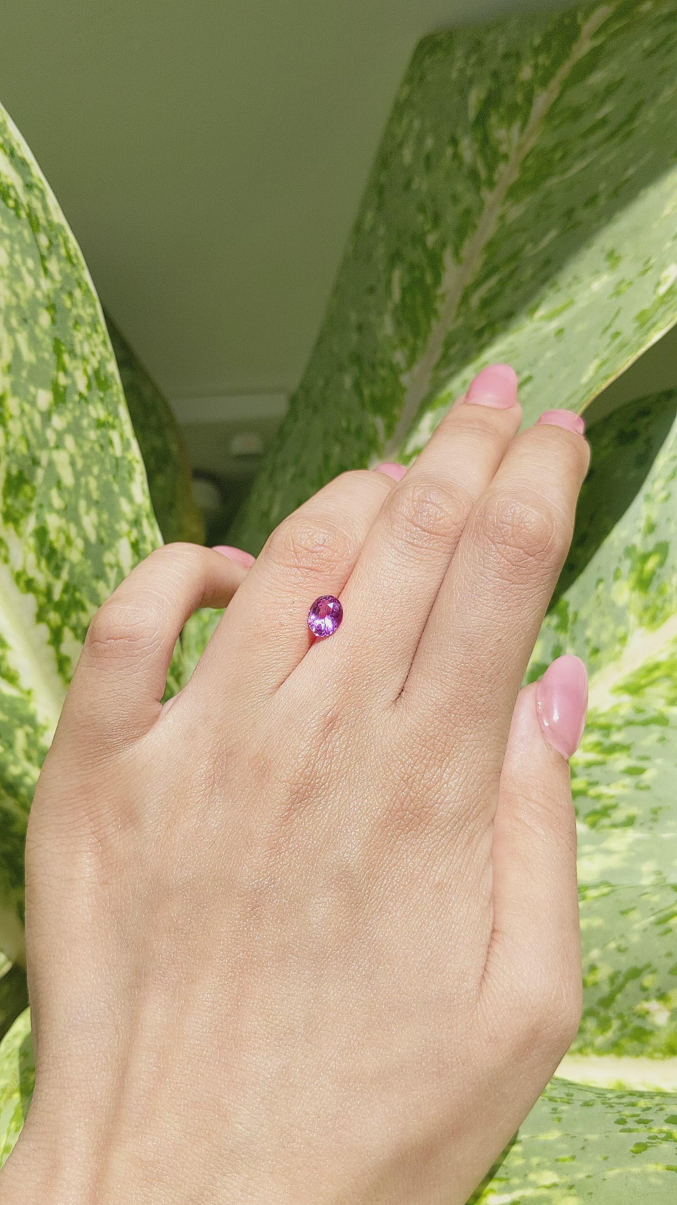 1.11 Ct. Purple Sapphire from Ceylon (Sri Lanka) Size Video