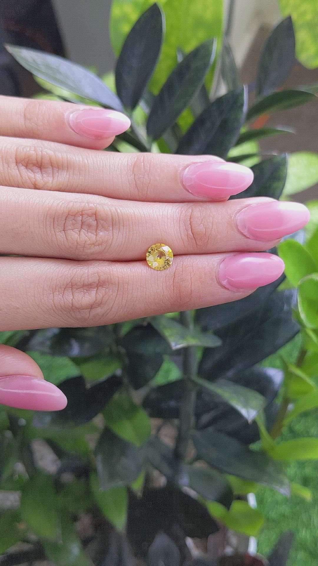 1.45 Ct. Yellow Sapphire from Ceylon (Sri Lanka) Size Video