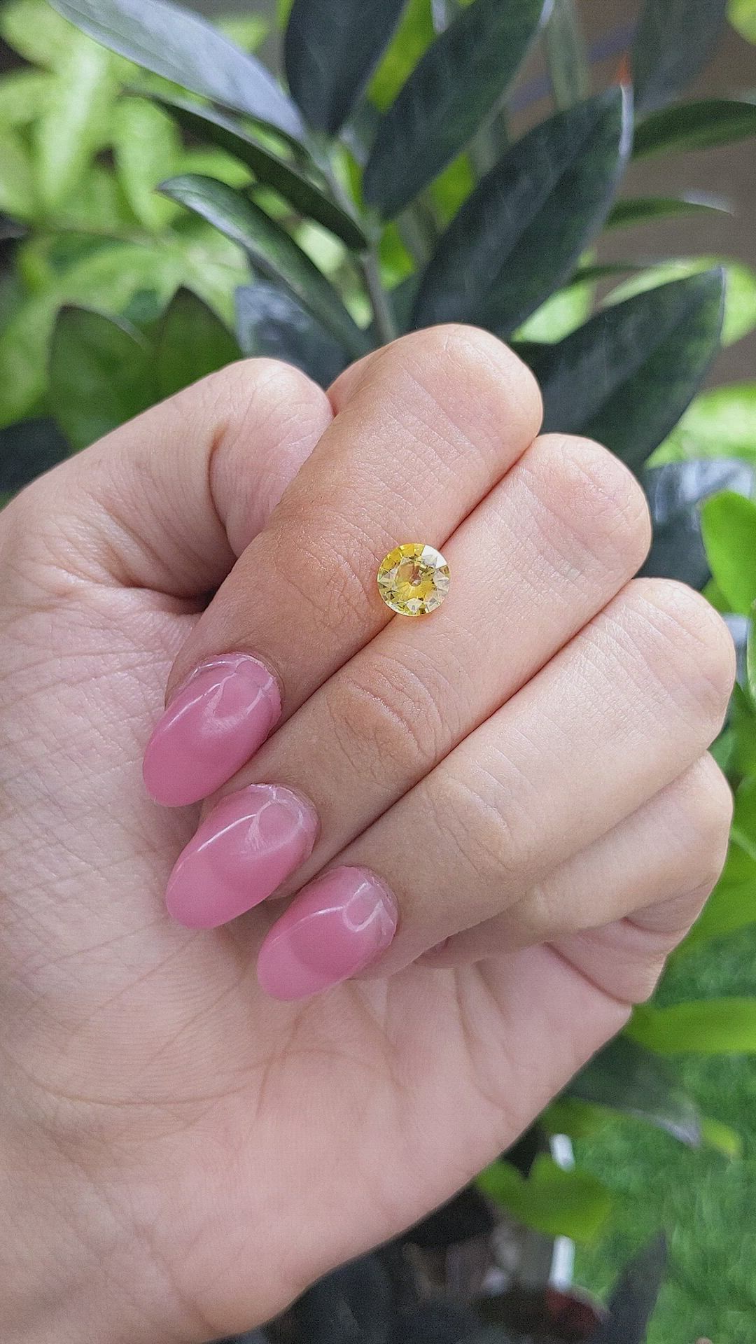 1.45 Ct. Yellow Sapphire from Ceylon (Sri Lanka) Size Video