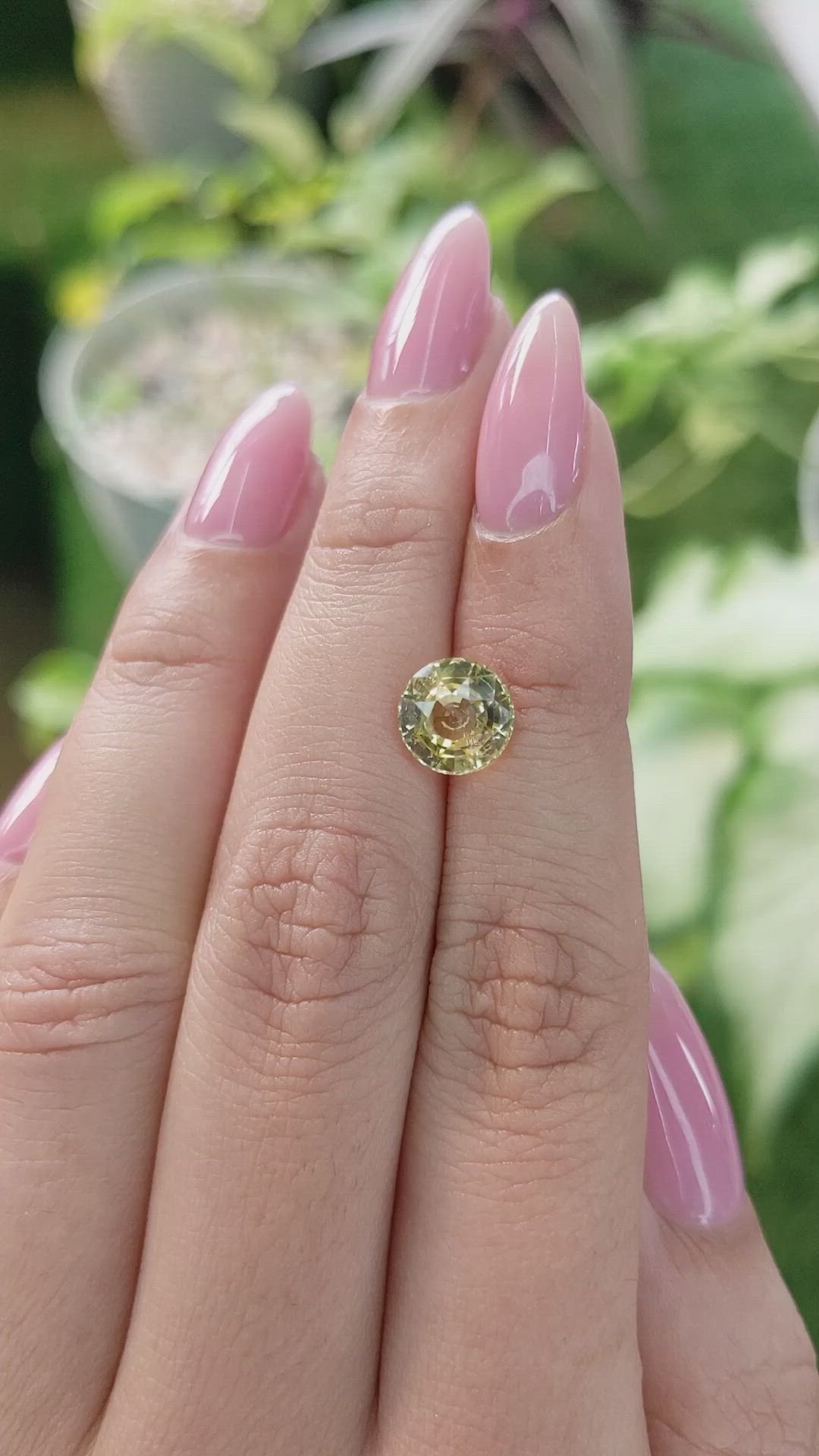 2.53 Ct. Yellow Sapphire from Ceylon (Sri Lanka) Size Video