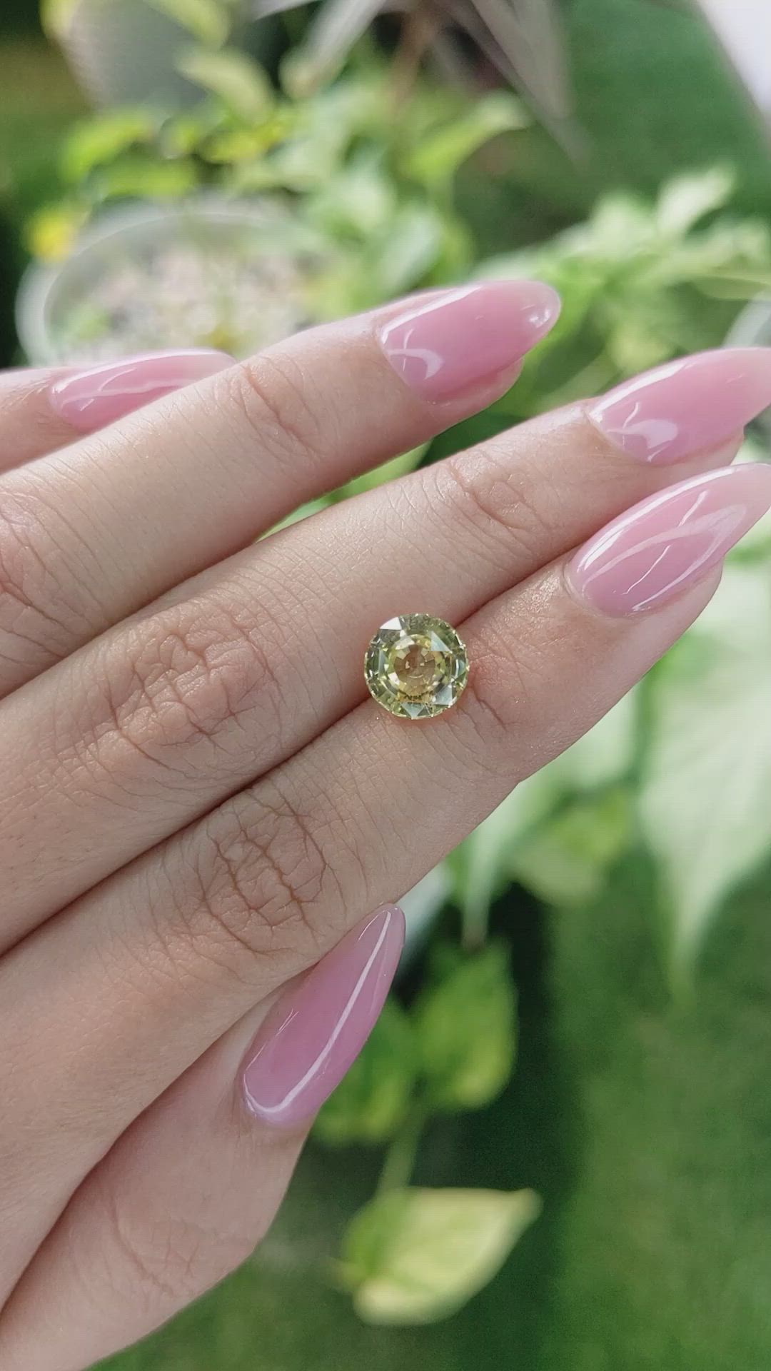 2.53 Ct. Yellow Sapphire from Ceylon (Sri Lanka) Size Video