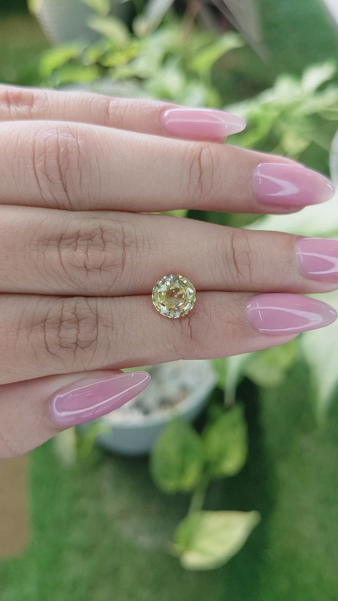 2.53 Ct. Yellow Sapphire from Ceylon (Sri Lanka) Size Video