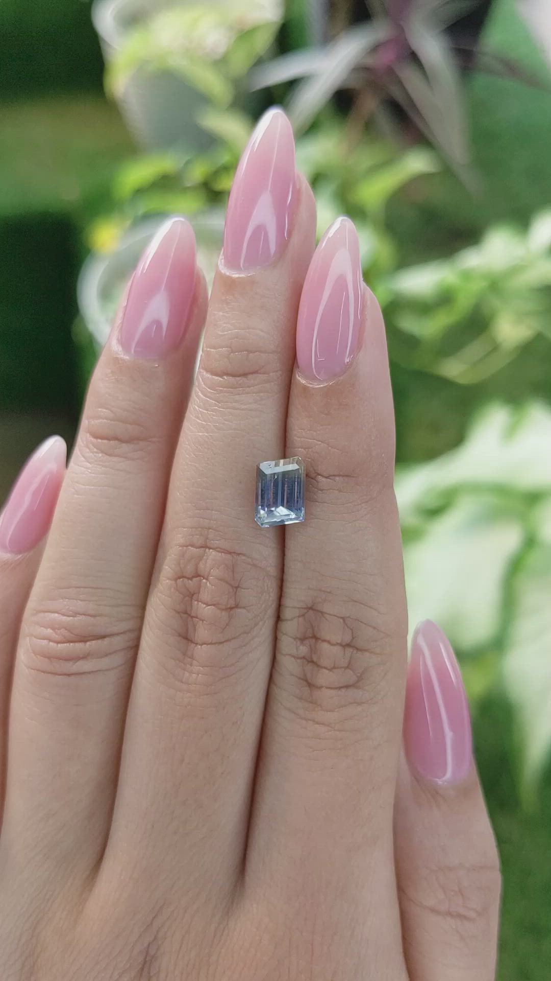 2.40 Ct. Bi Color Sapphire from Ceylon (Sri Lanka) Size Video