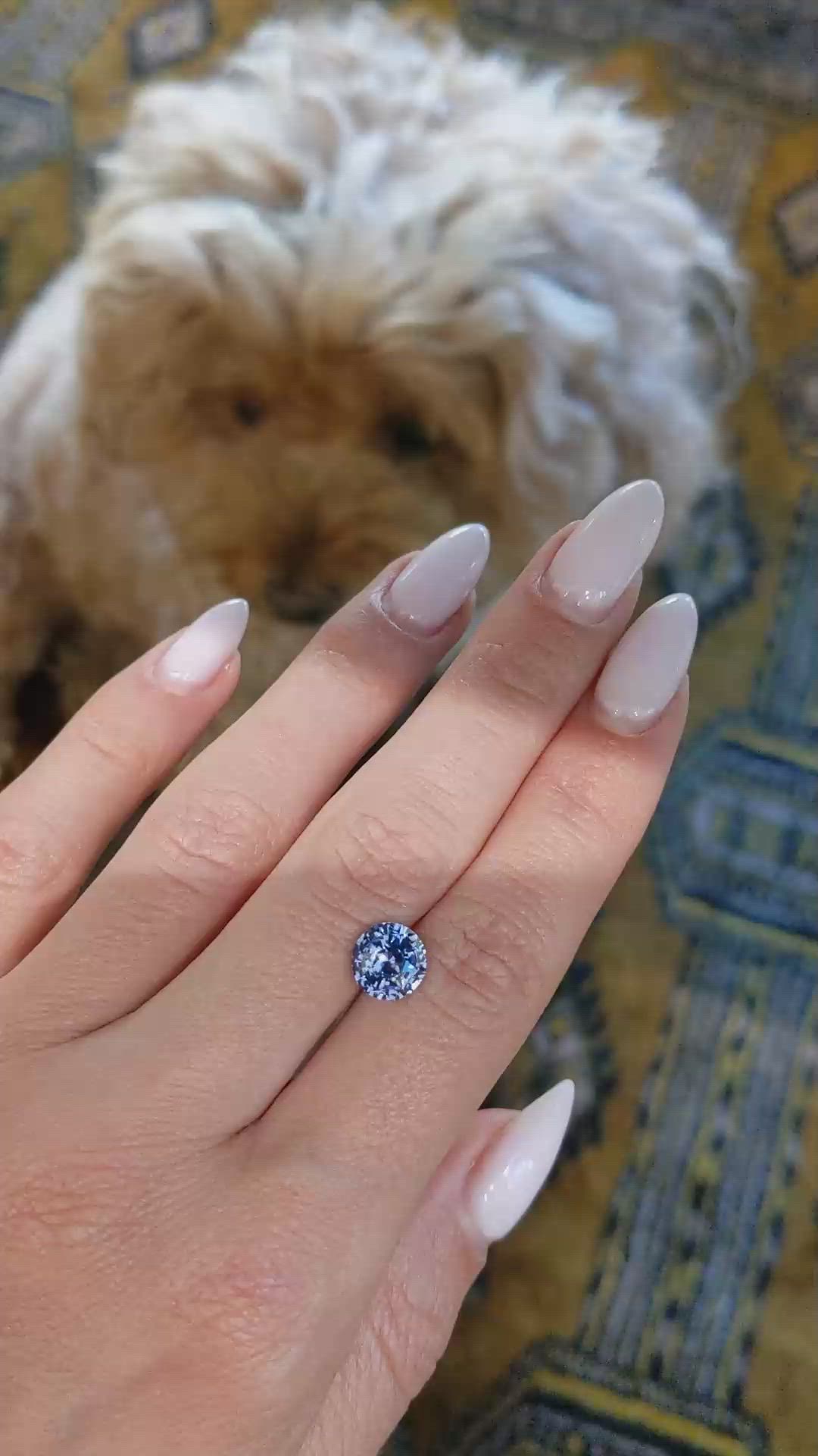 2.76 Ct. Blue Sapphire from Ceylon (Sri Lanka) Size Video