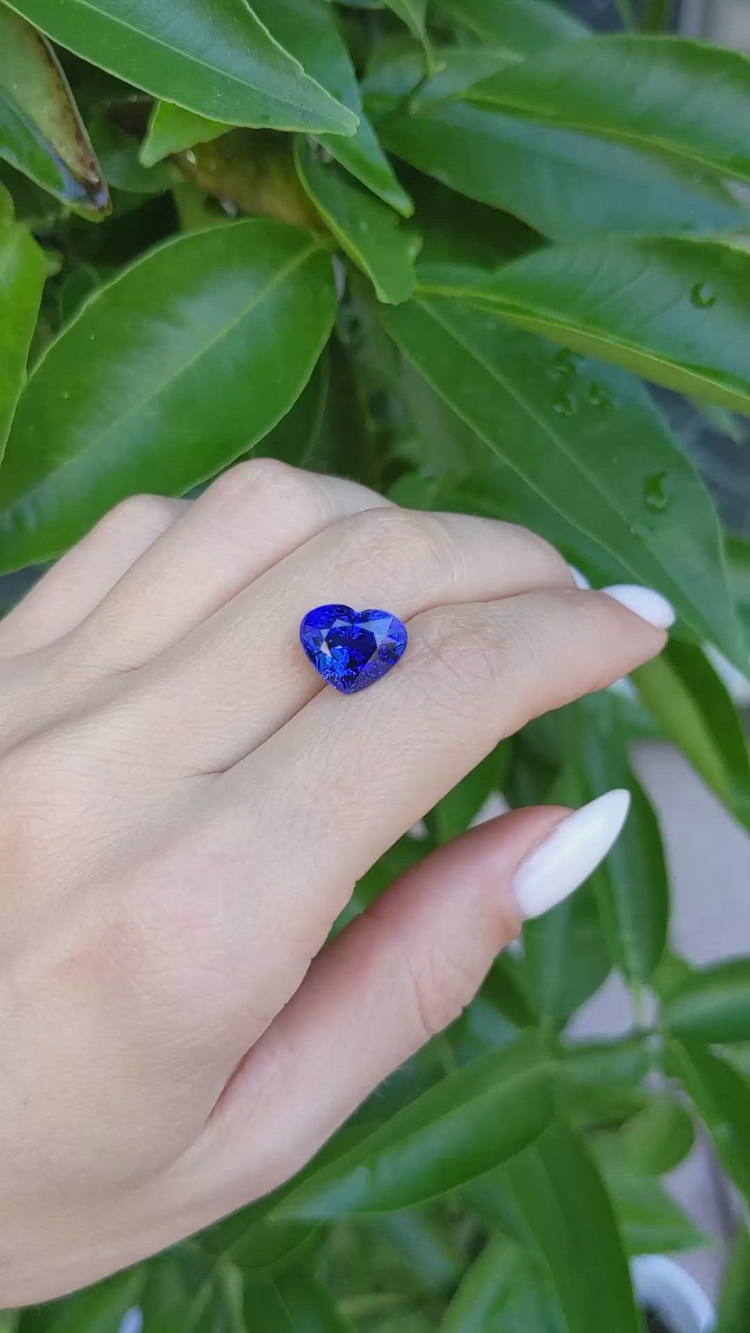 6.30 Ct. Blue Sapphire from Ceylon (Sri Lanka) Size Video