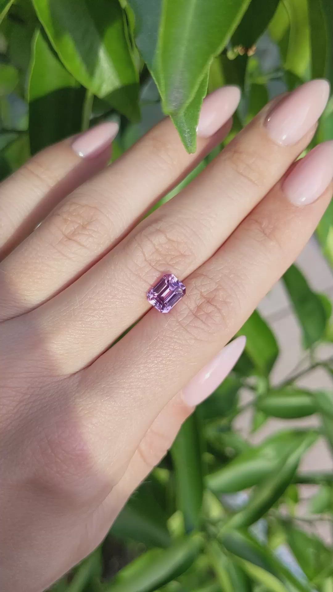 2.24 Ct. Pink Sapphire from Ceylon (Sri Lanka) Size Video