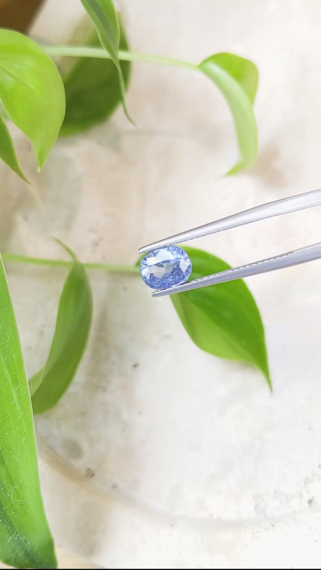 1.74 Ct. Blue Sapphire from Ceylon (Sri Lanka) Size Video