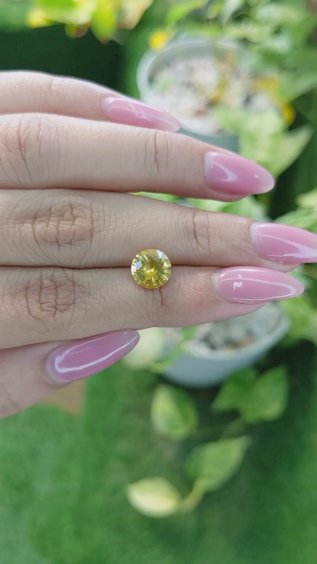 2.18 Ct. Yellow Sapphire from Ceylon (Sri Lanka) Size Video