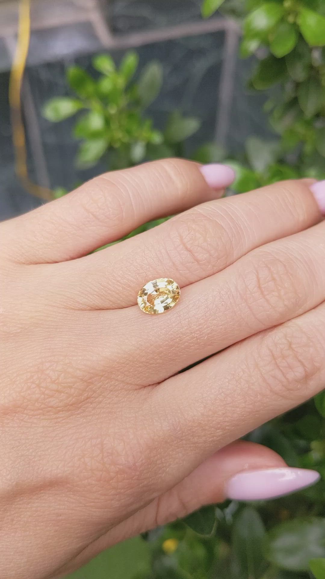 2.06 Ct. Yellow Sapphire from Ceylon (Sri Lanka) Size Video