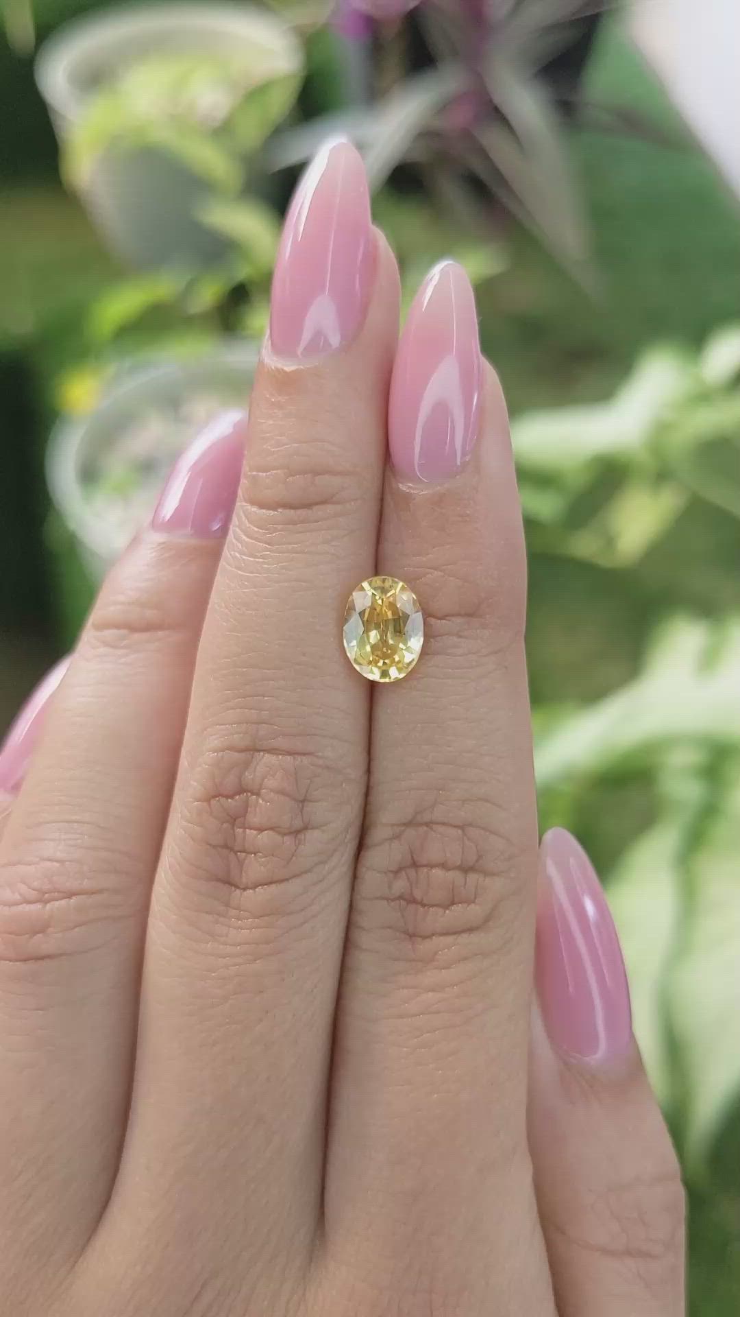 2.06 Ct. Yellow Sapphire from Ceylon (Sri Lanka) Size Video