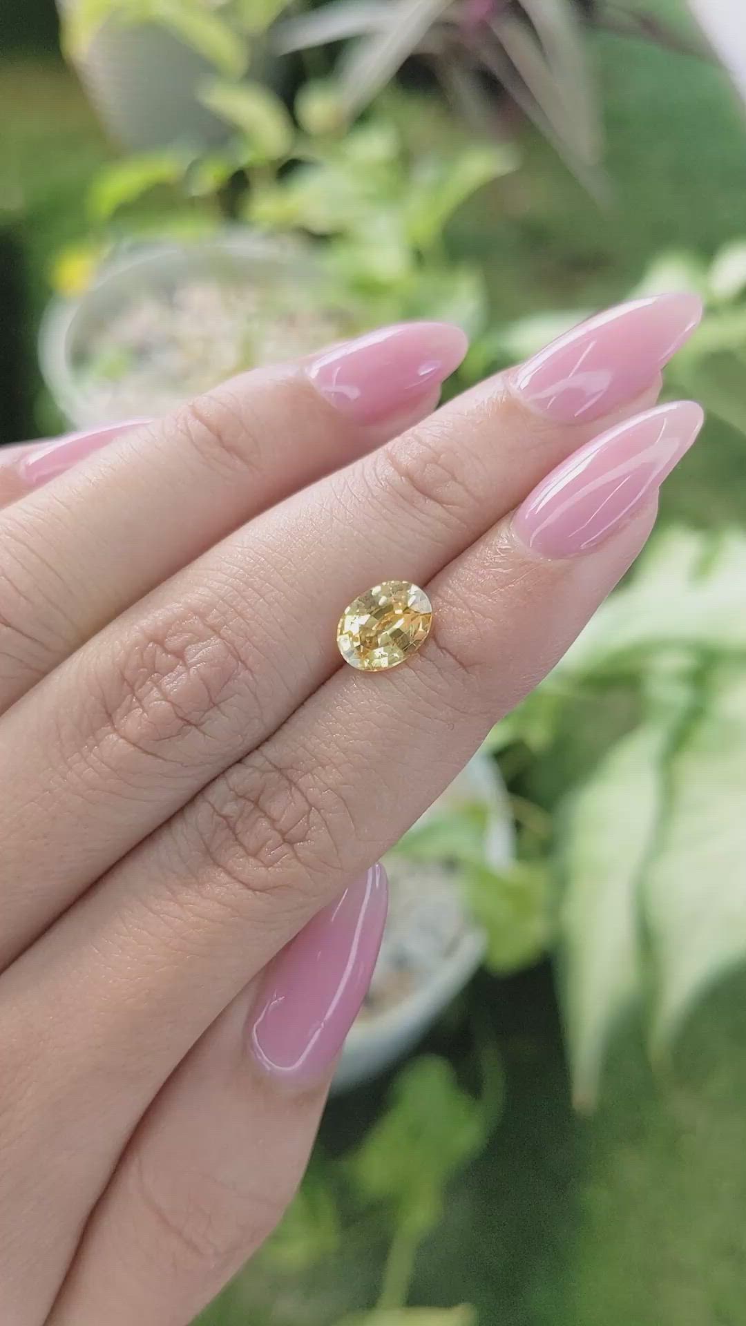 2.06 Ct. Yellow Sapphire from Ceylon (Sri Lanka) Size Video