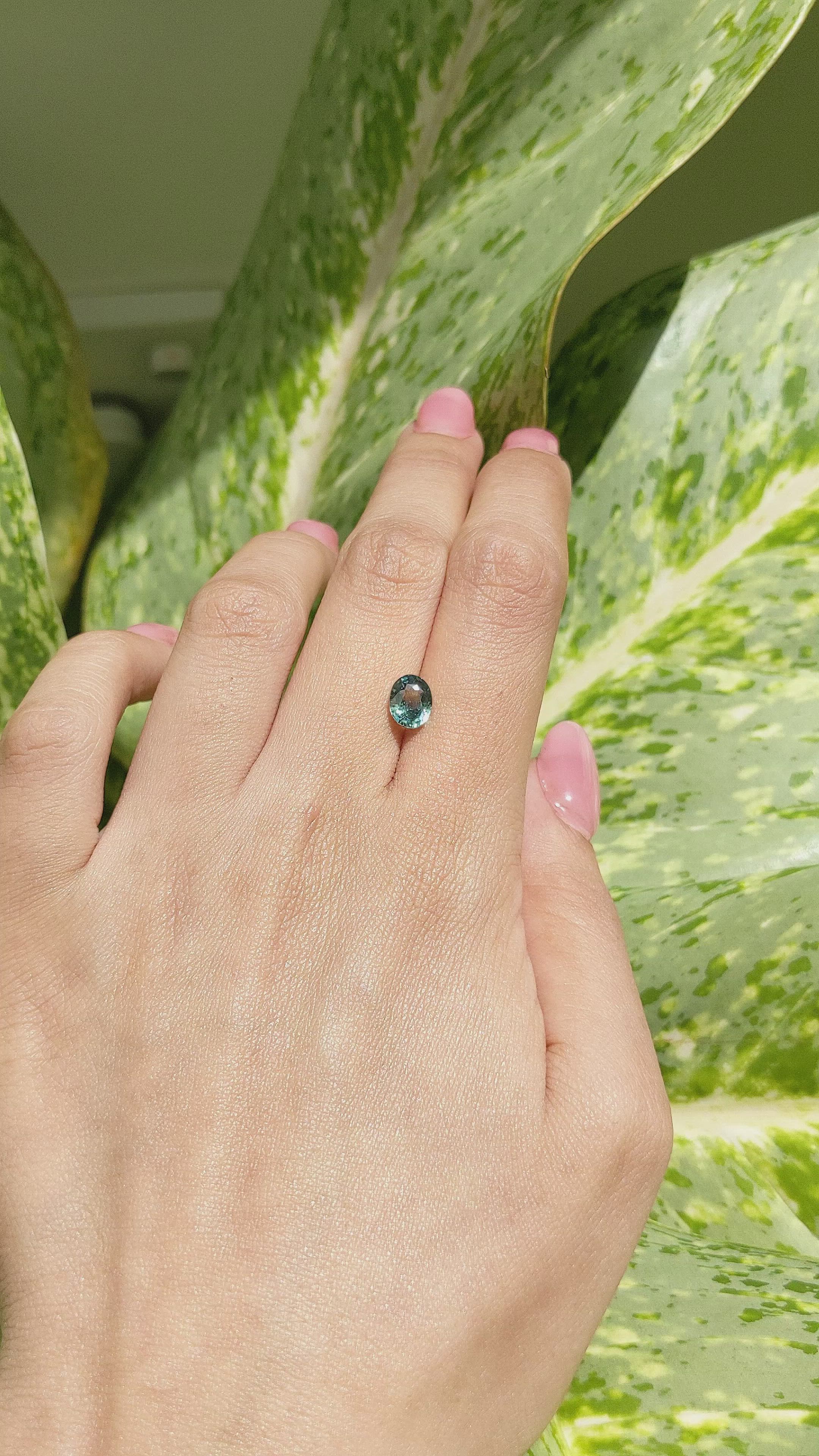 1.55 Ct. Bluish Green Sapphire from Madagascar Size Video