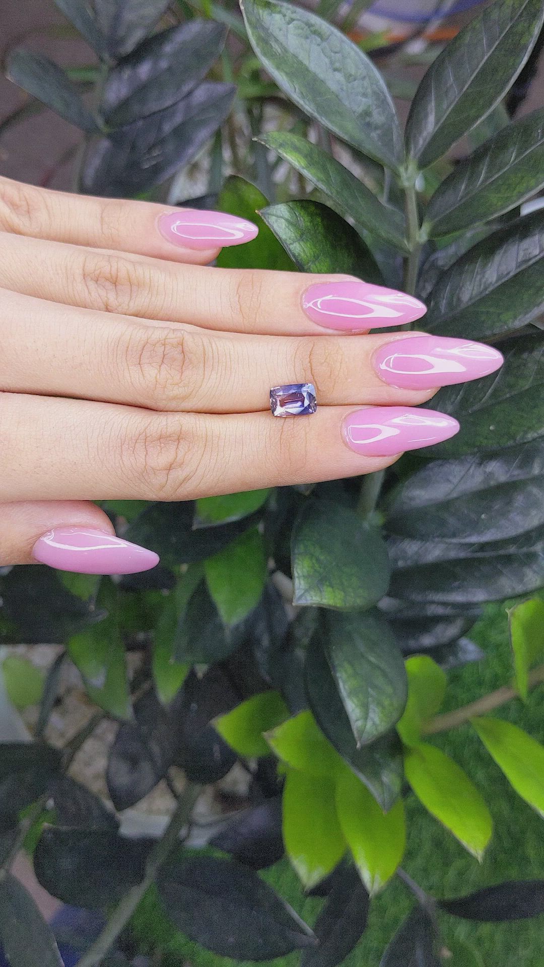 2.20 Ct. Bi Color Sapphire from Ceylon (Sri Lanka) Size Video