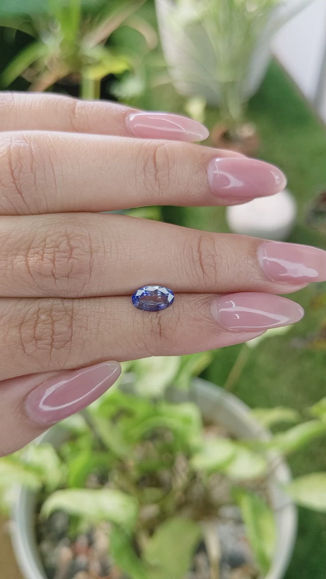 1.32 Ct. Bi Color Sapphire from Ceylon (Sri Lanka) Size Video