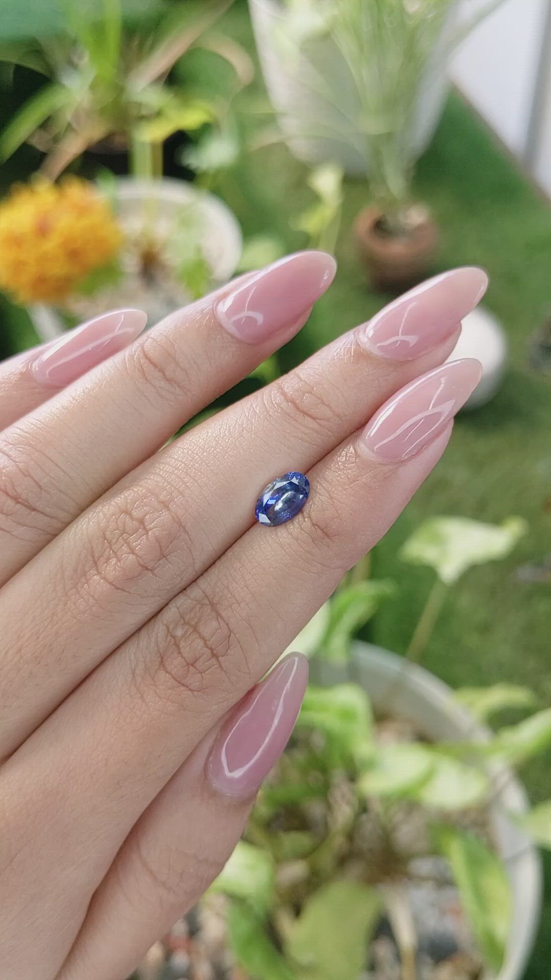 1.32 Ct. Bi Color Sapphire from Ceylon (Sri Lanka) Size Video