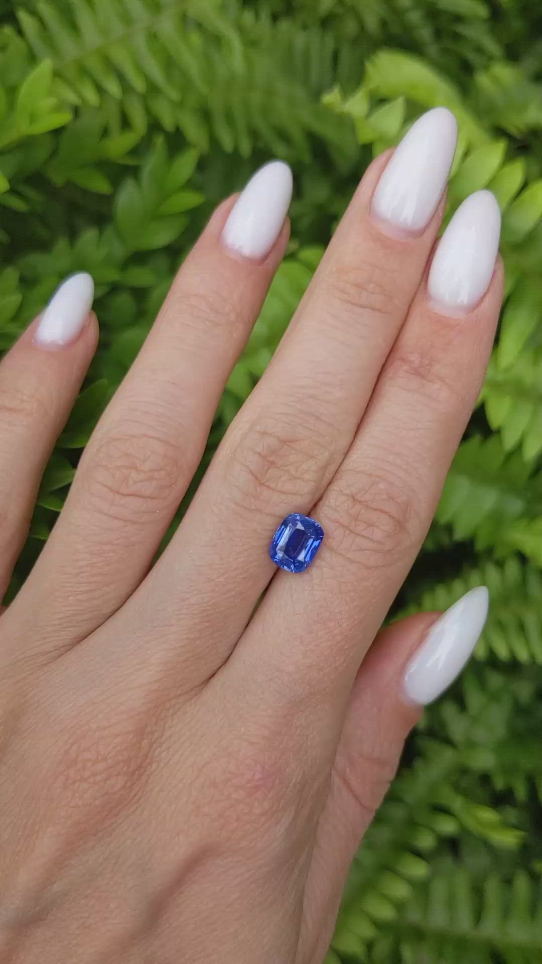 2.30 Ct. Blue Sapphire from Ceylon (Sri Lanka) Size Video