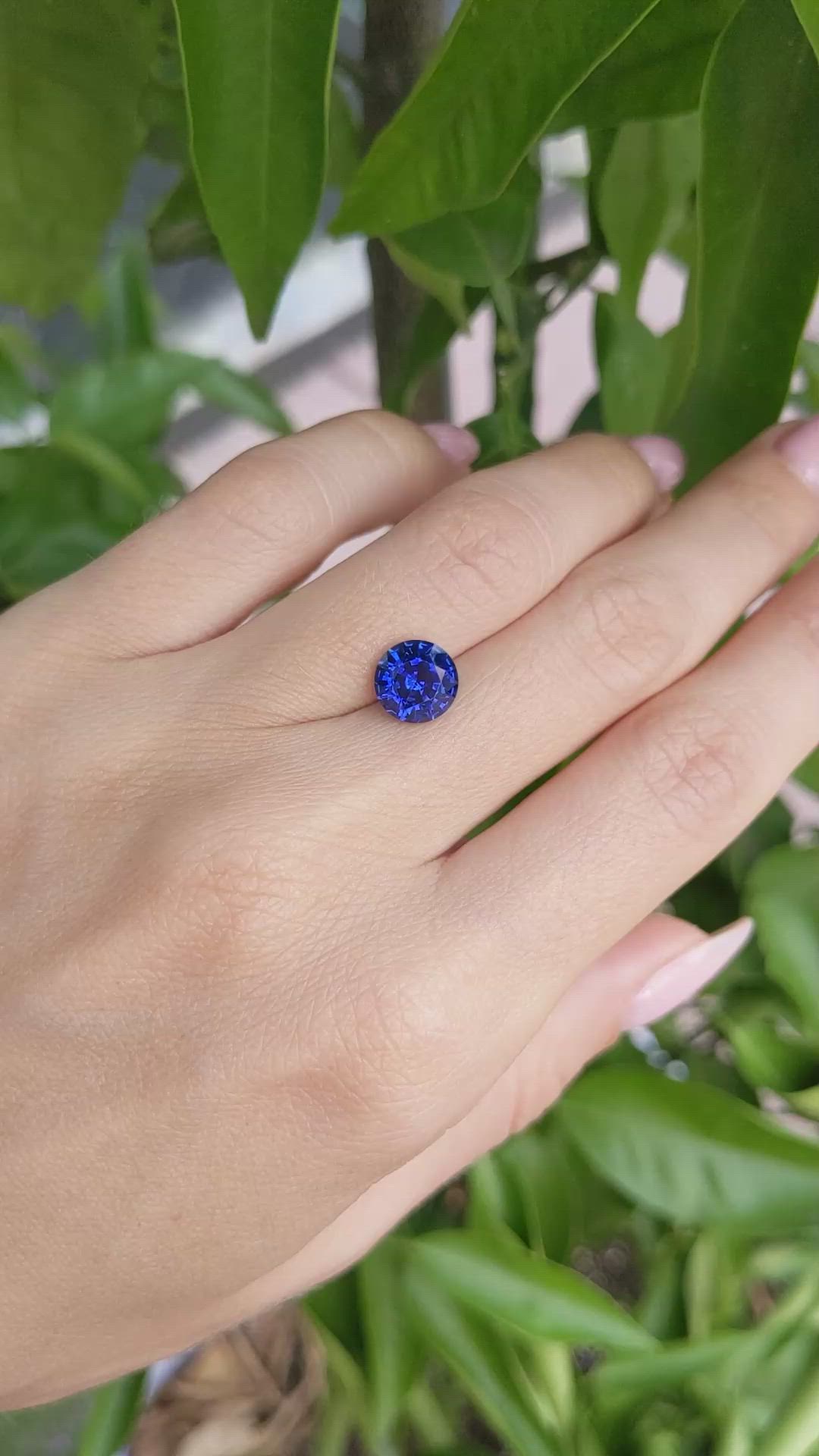 2.64 Ct. Blue Sapphire from Ceylon (Sri Lanka) Size Video