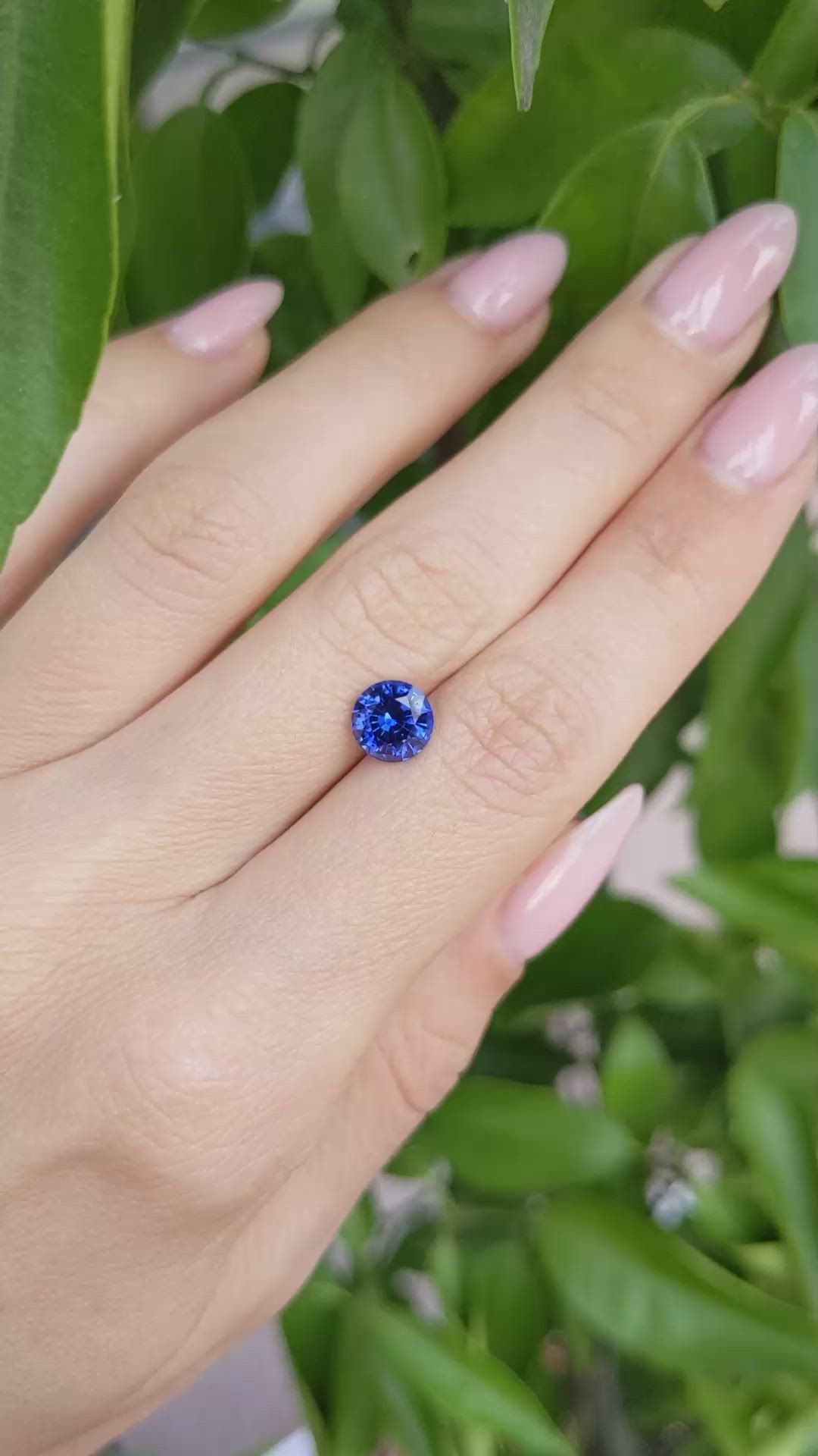 1.95 Ct. Blue Sapphire from Ceylon (Sri Lanka) Size Video