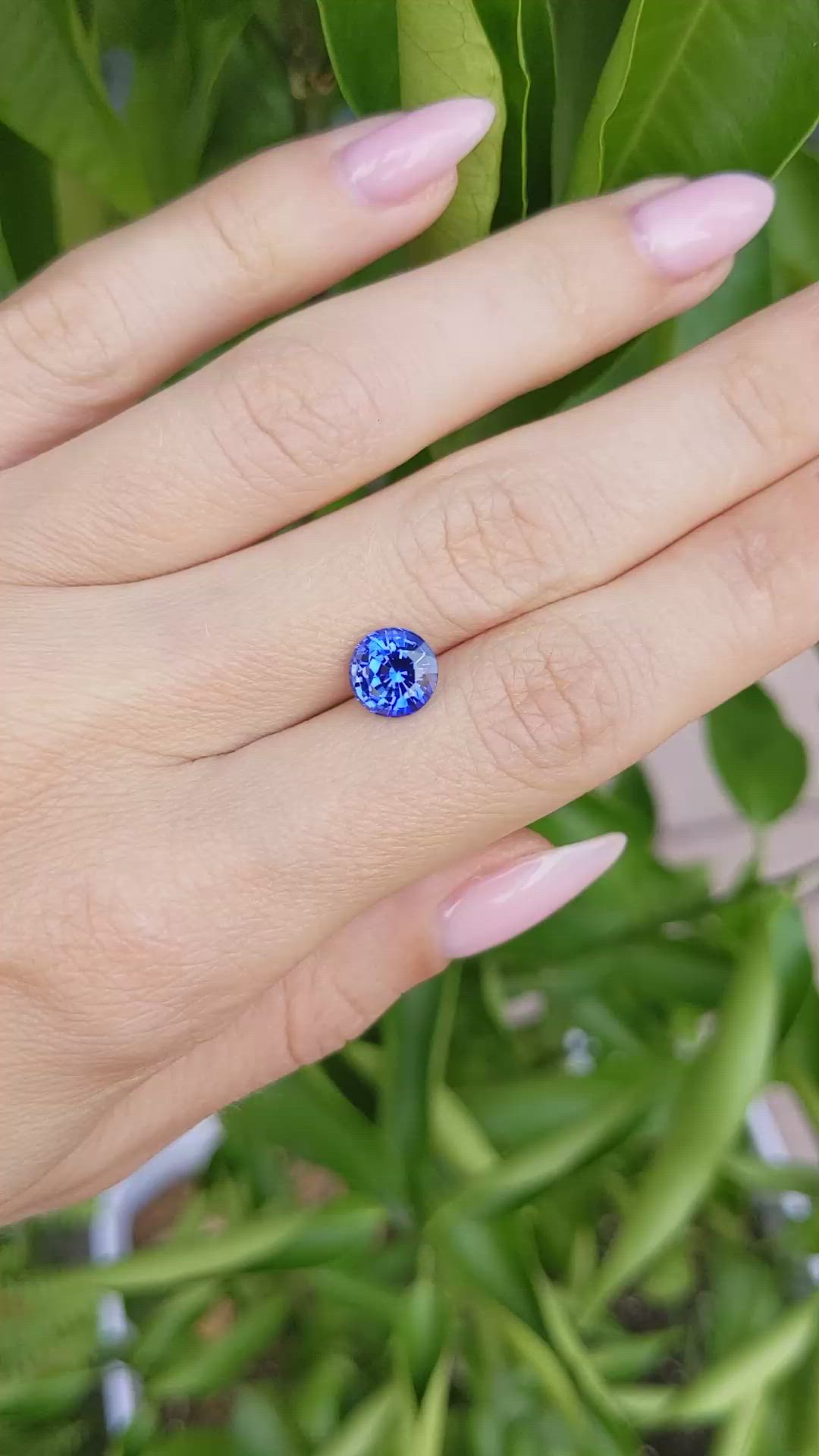 2.27 Ct. Blue Sapphire from Ceylon (Sri Lanka) Size Video