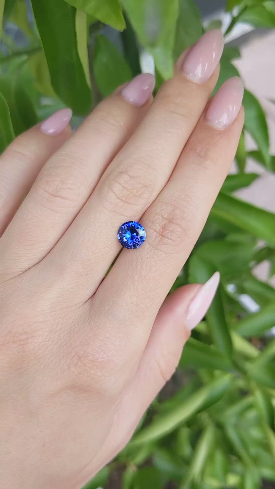 1.72 Ct. Blue Sapphire from Ceylon (Sri Lanka) Size Video