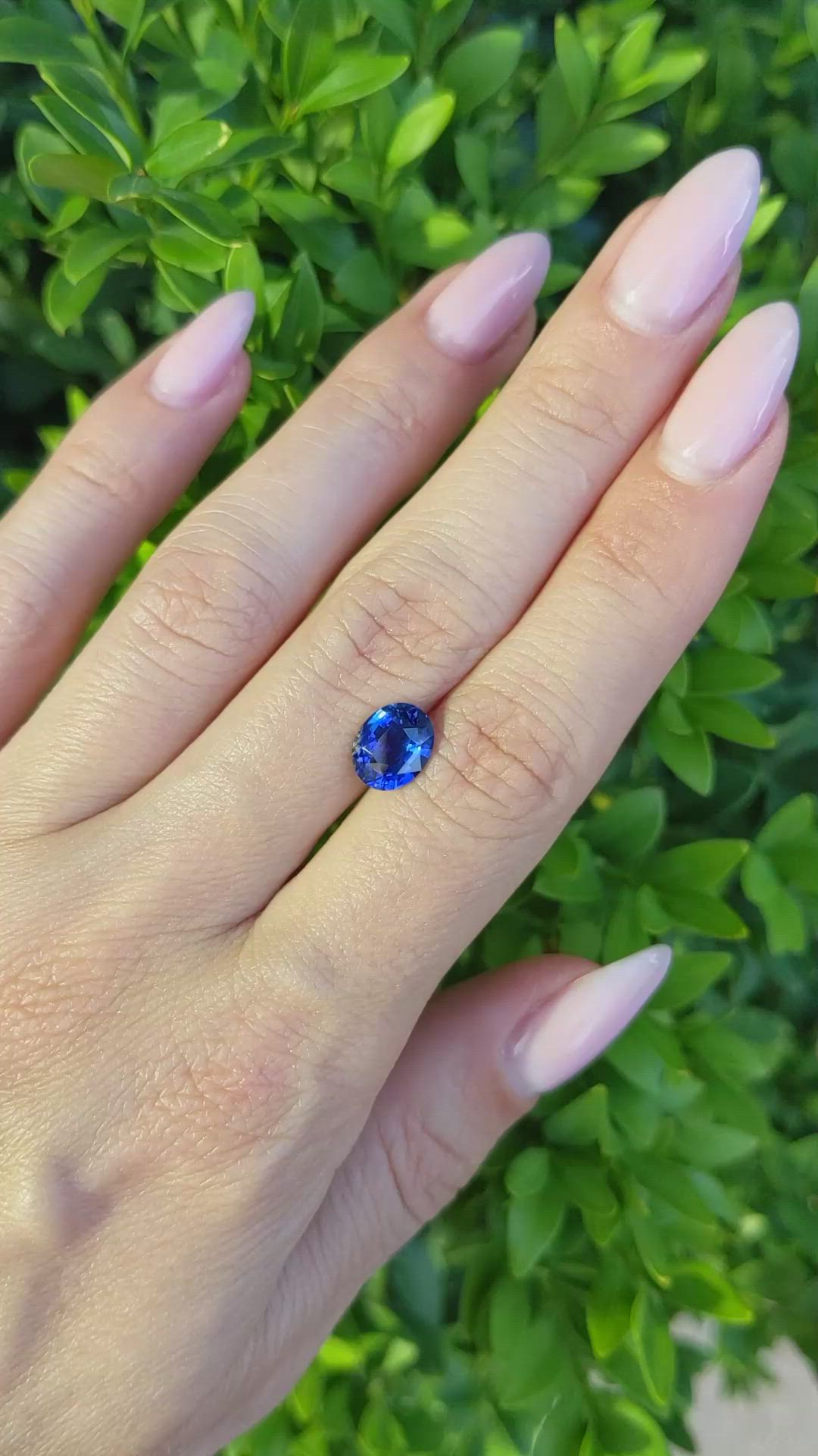 2.04 Ct. Blue Sapphire from Ceylon (Sri Lanka) Size Video