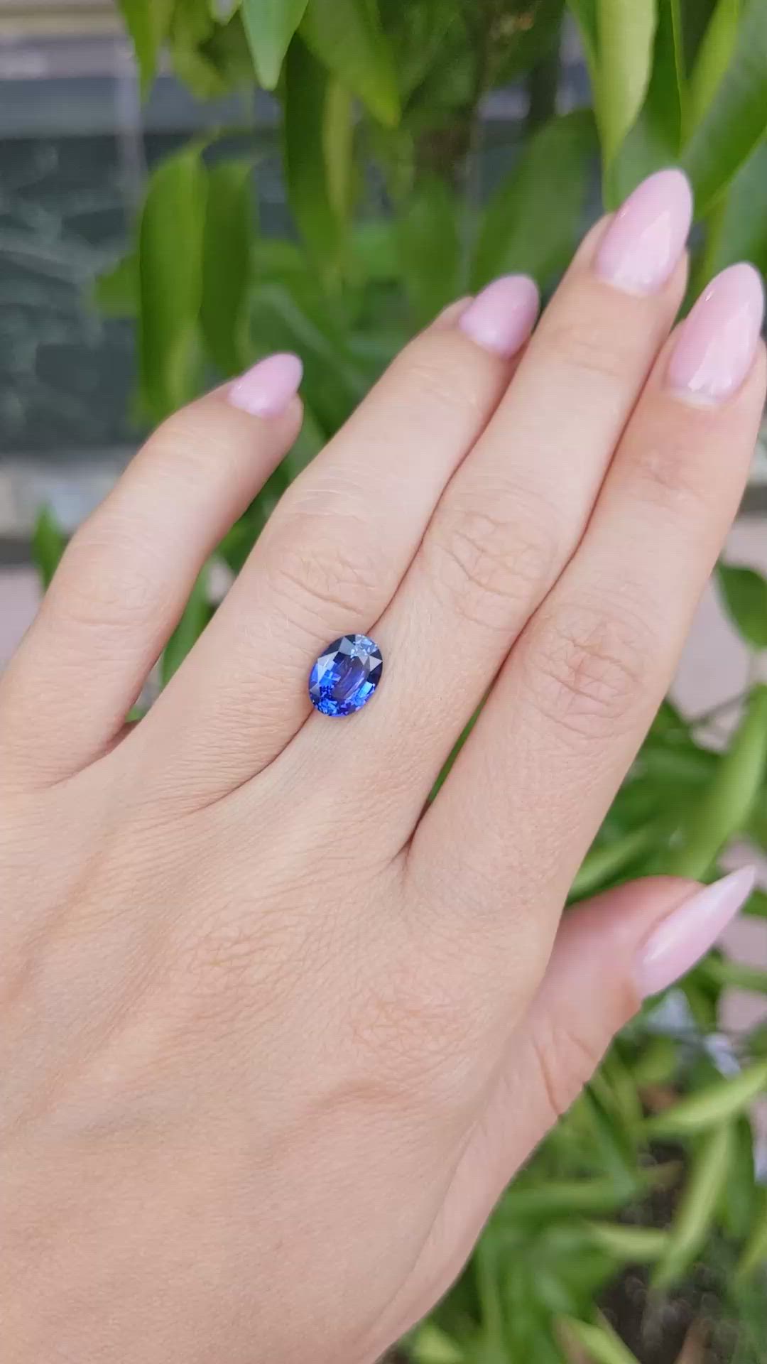 2.07 Ct. Blue Sapphire from Ceylon (Sri Lanka) Size Video