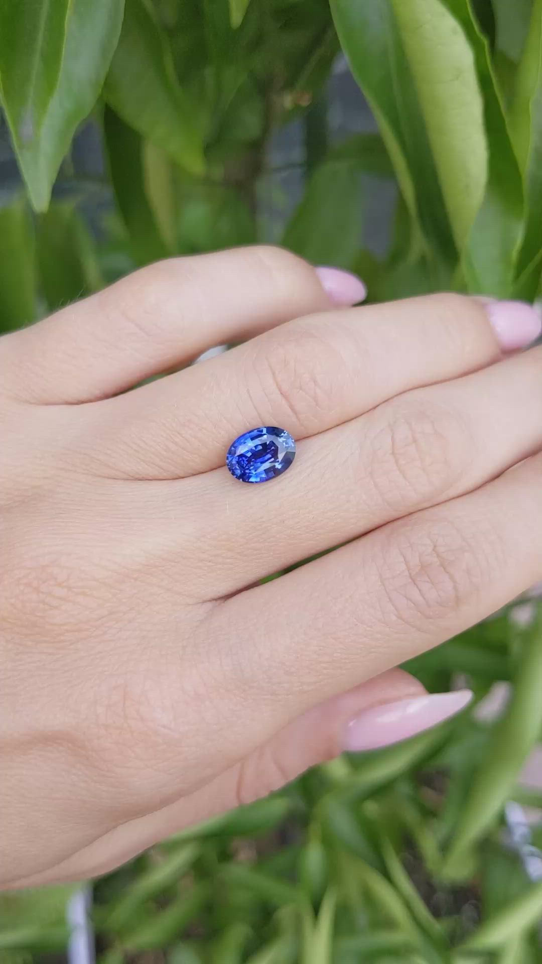 2.07 Ct. Blue Sapphire from Ceylon (Sri Lanka) Size Video