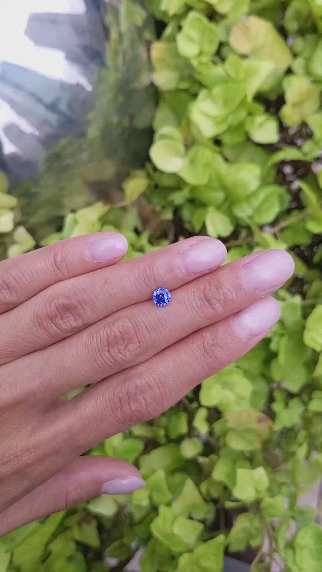 0.85 Ct. Blue Sapphire from Ceylon (Sri Lanka) Size Video