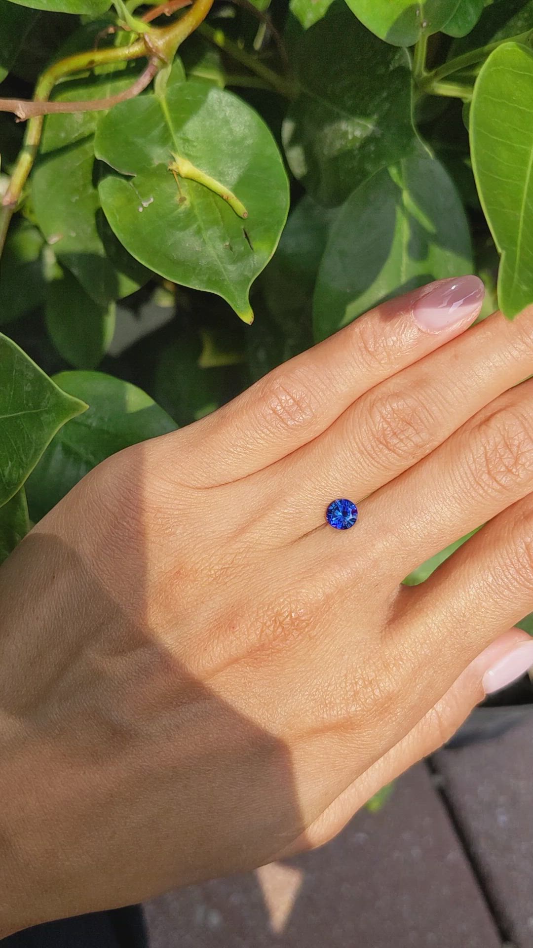 0.89 Ct. Blue Sapphire from Ceylon (Sri Lanka) Size Video